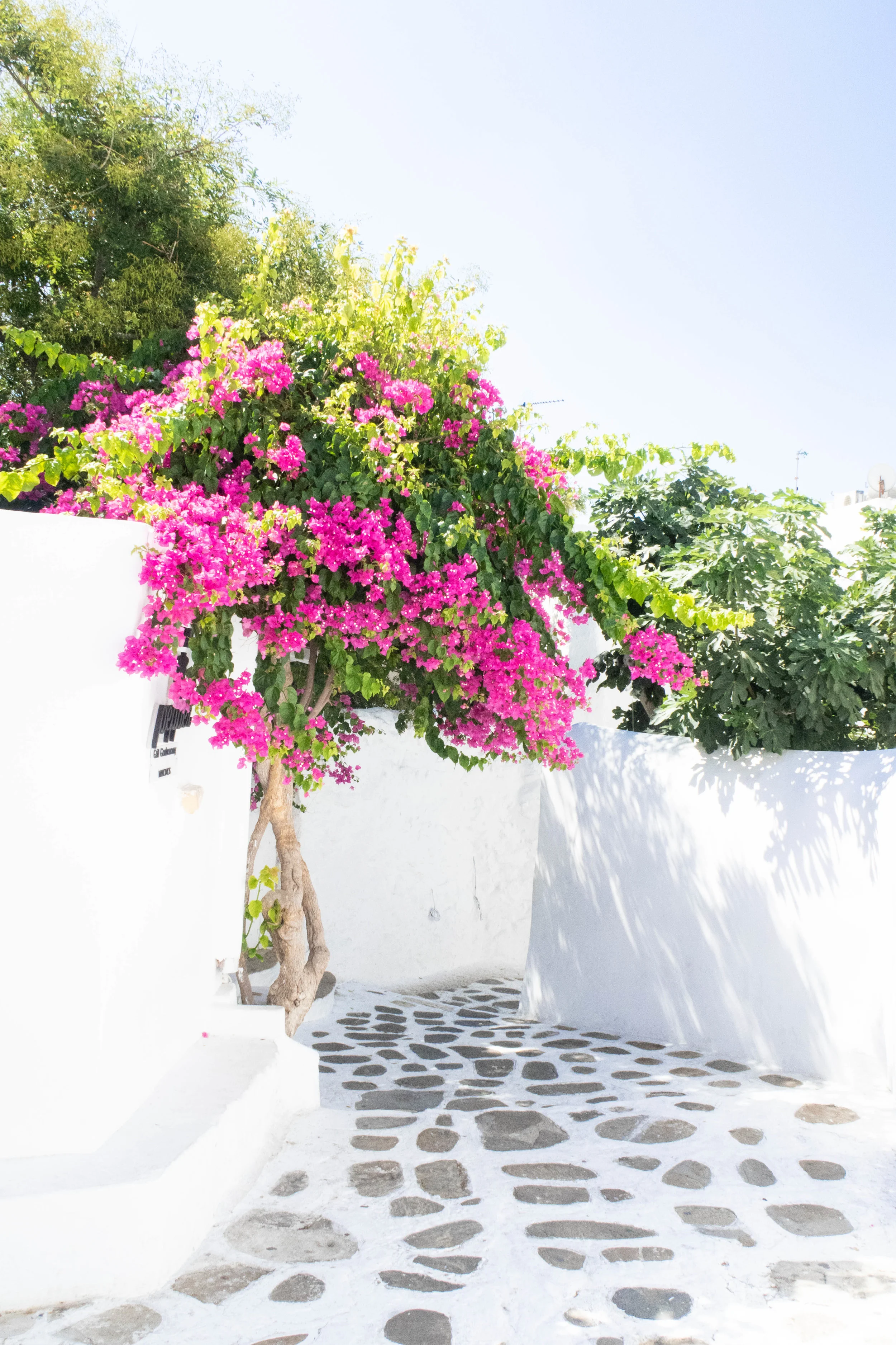 mykonosguide-2.jpg