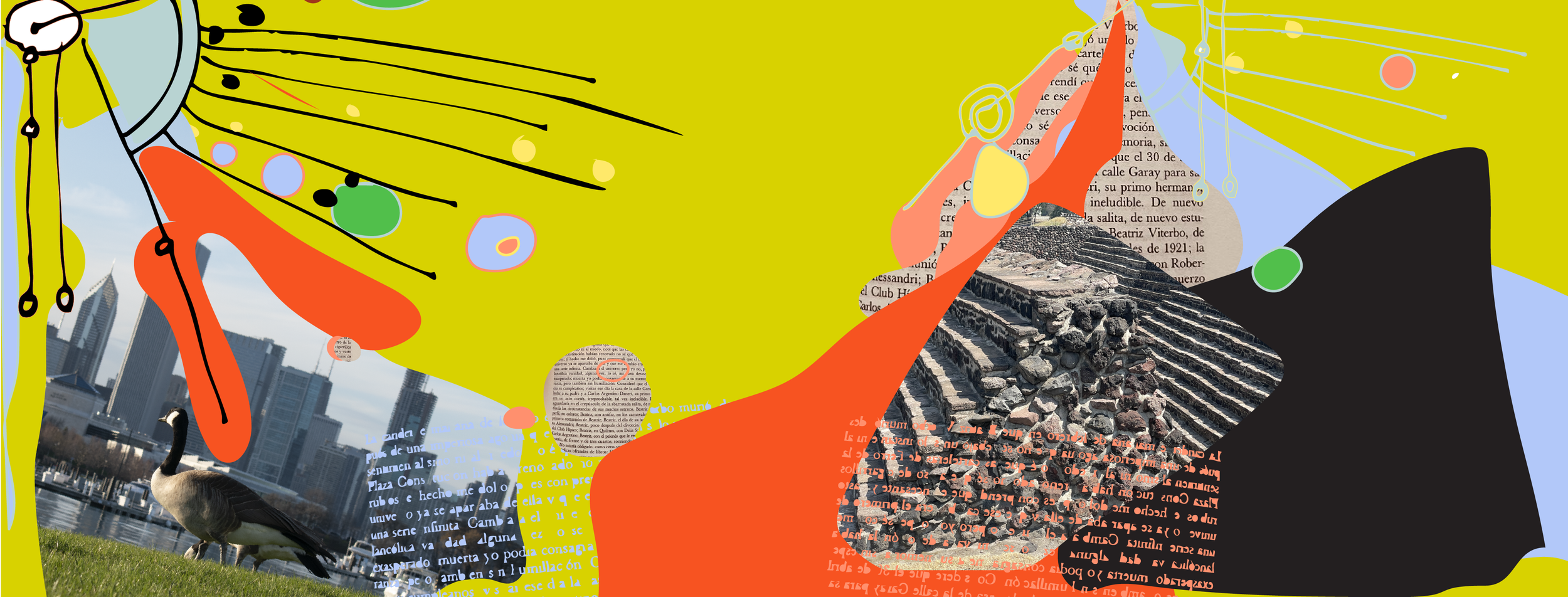 BANNER_corto.png
