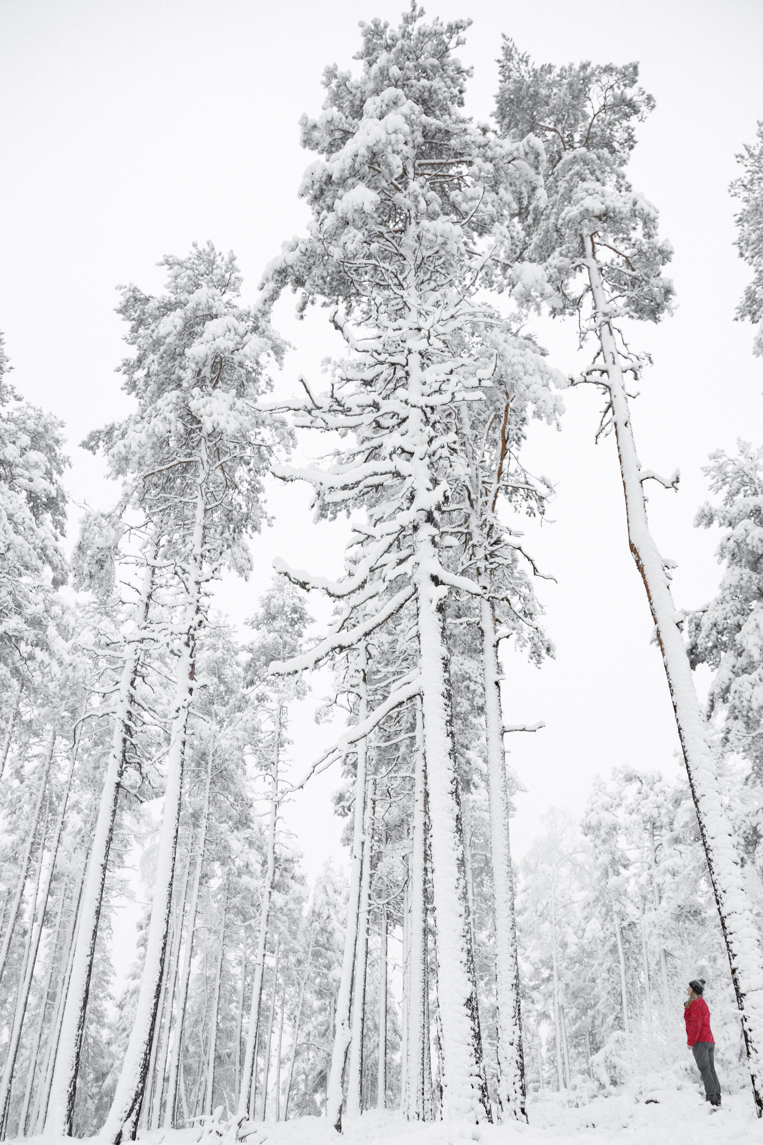 15-winter-fresh-snow-hiking-adventure-finland-anna-elina-lahti-photographer.jpg