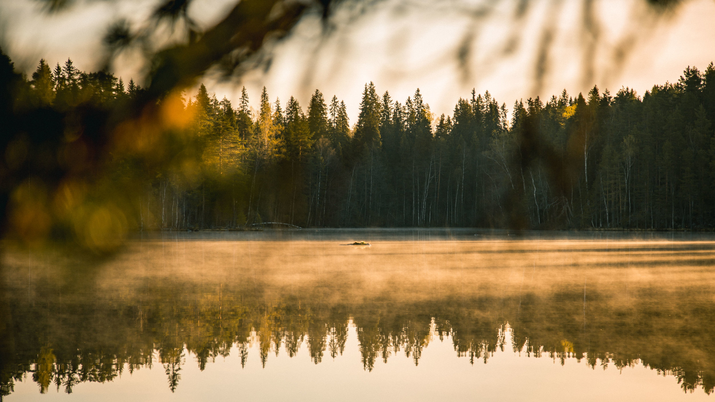 21-sunrise-misty-morning-lake-finland-camping-anna-elina-lahti-photographer.jpg