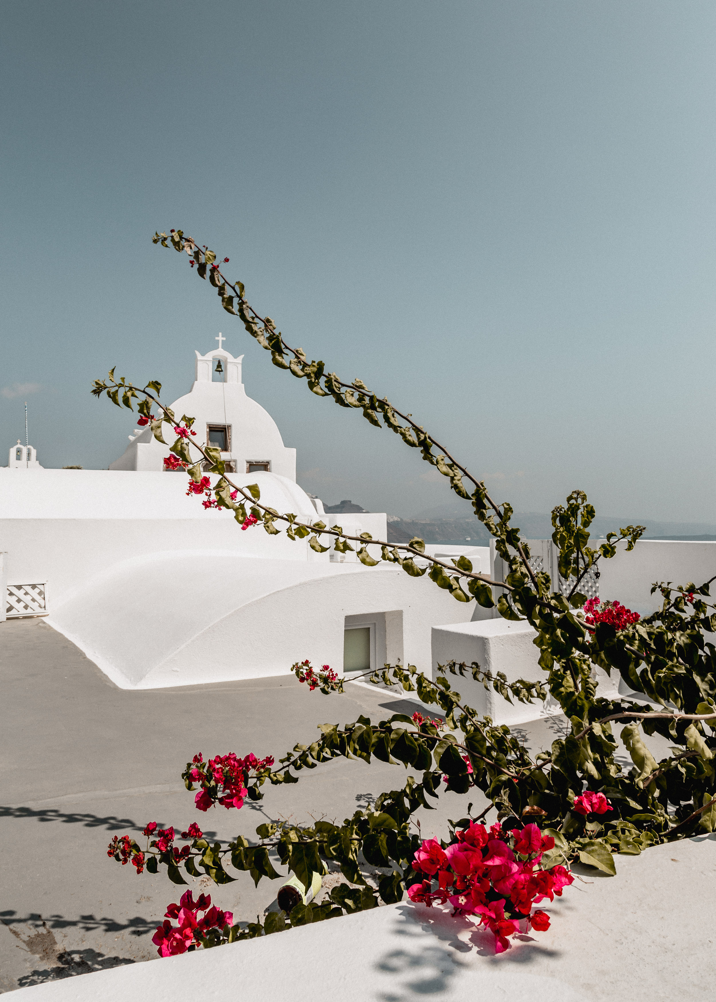 09-santorini-ia-oia-greece-travel-bougainvillea-anna-elina-lahti-photographer.jpg