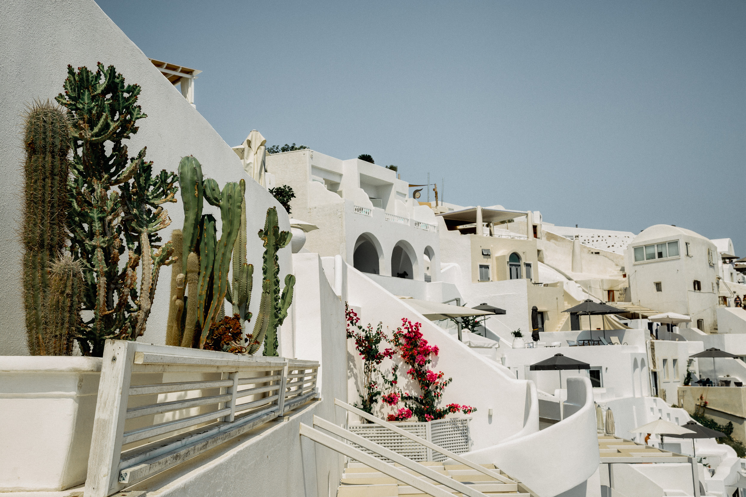 36-santorini-ia-oia-greece-cacti-plants-travel-anna-elina-lahti-photographer.jpg