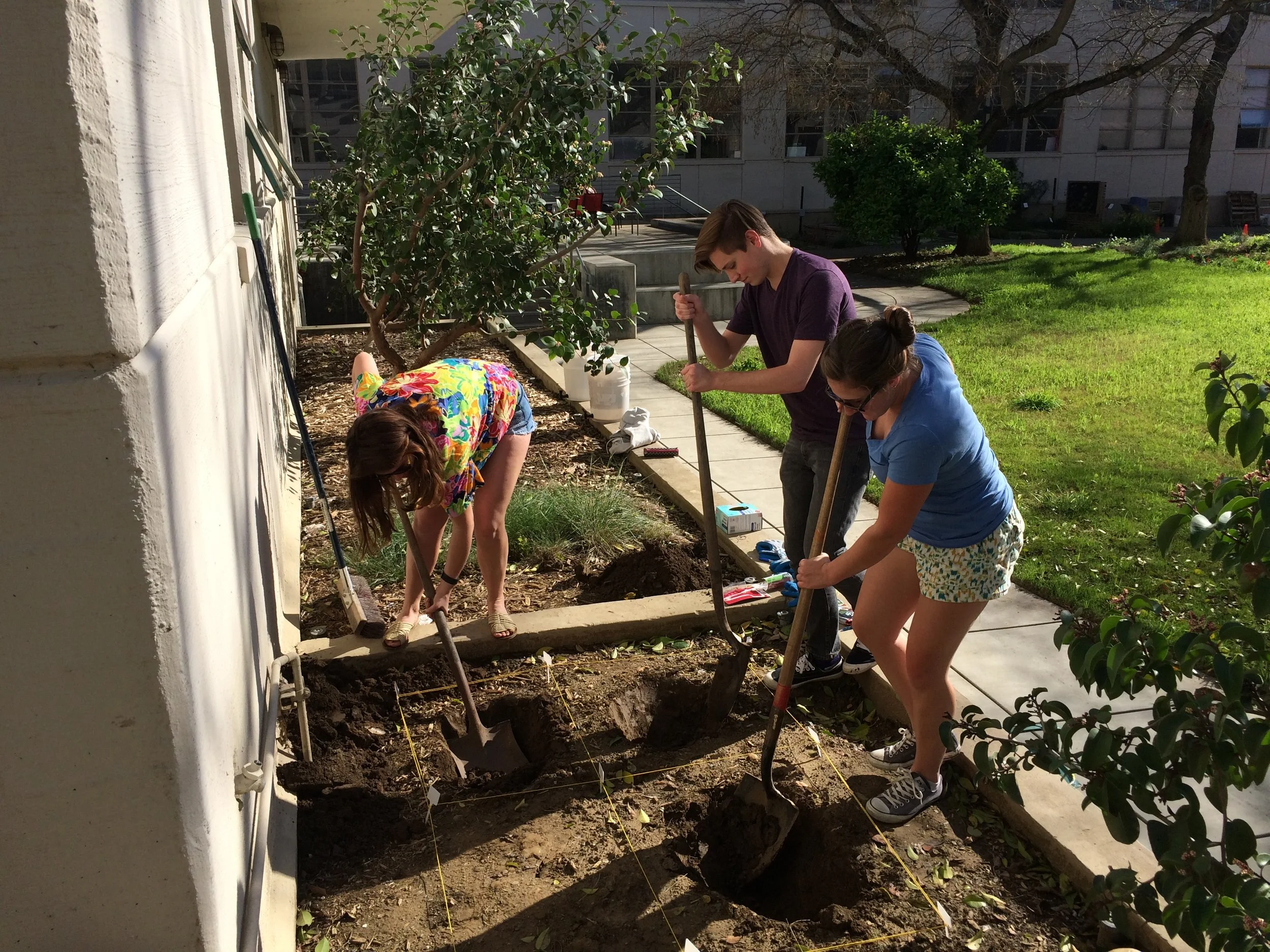 Burying fermented food waste collected from Hunt Hall landscape architecture studios.