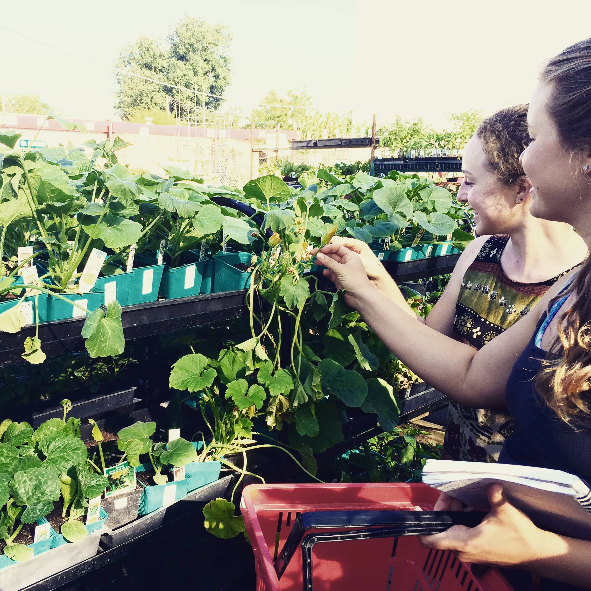 Plant shopping with the garden crew.