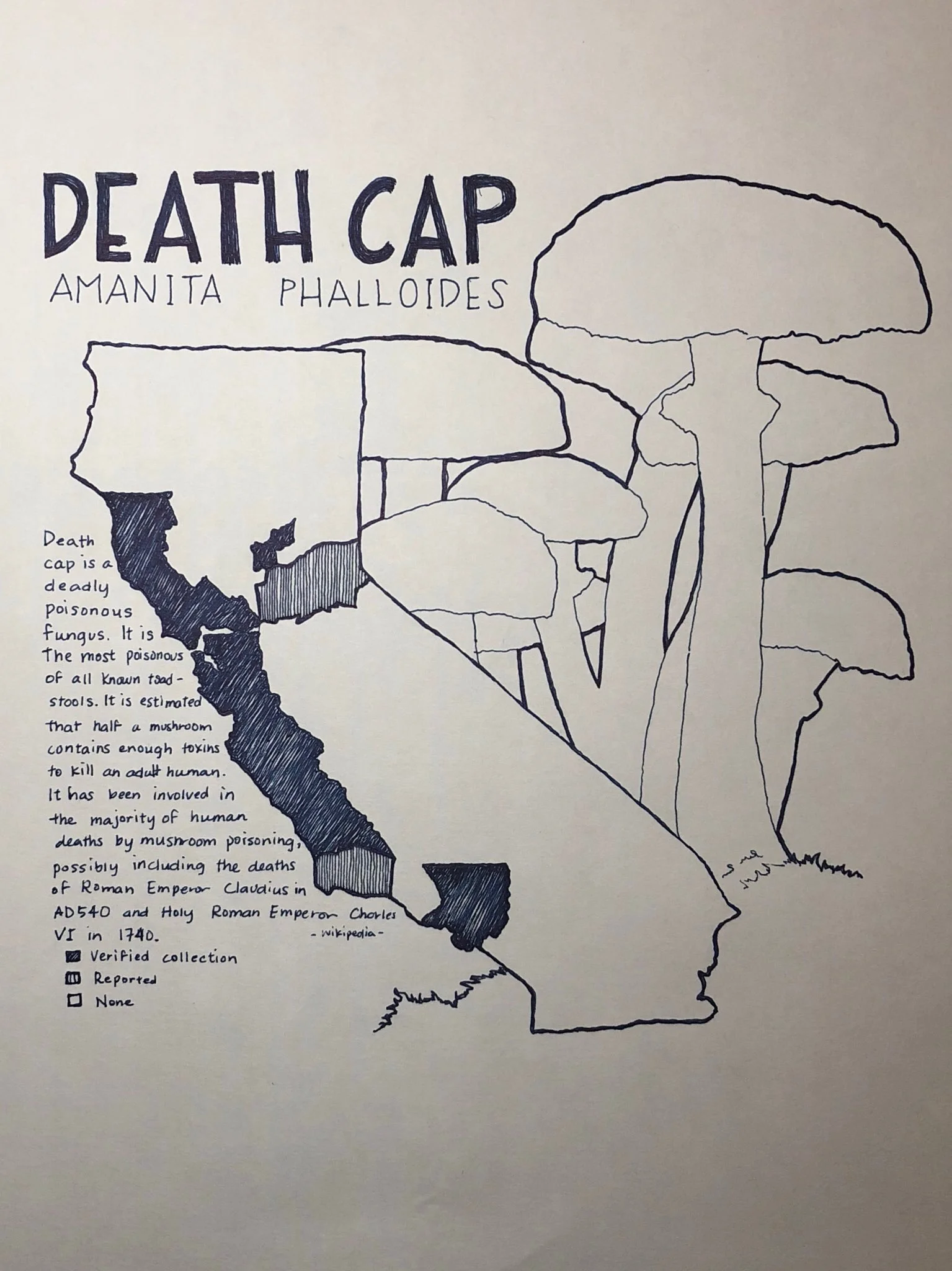 Poison: Death Cap. Death Cap (Amanita Phalloides) is a deadly mushroom that has been used in deaths of the Roman Emperor Claudius and Holy Roman Emperor Charles. Data from Pringle and Vellinga 2006.