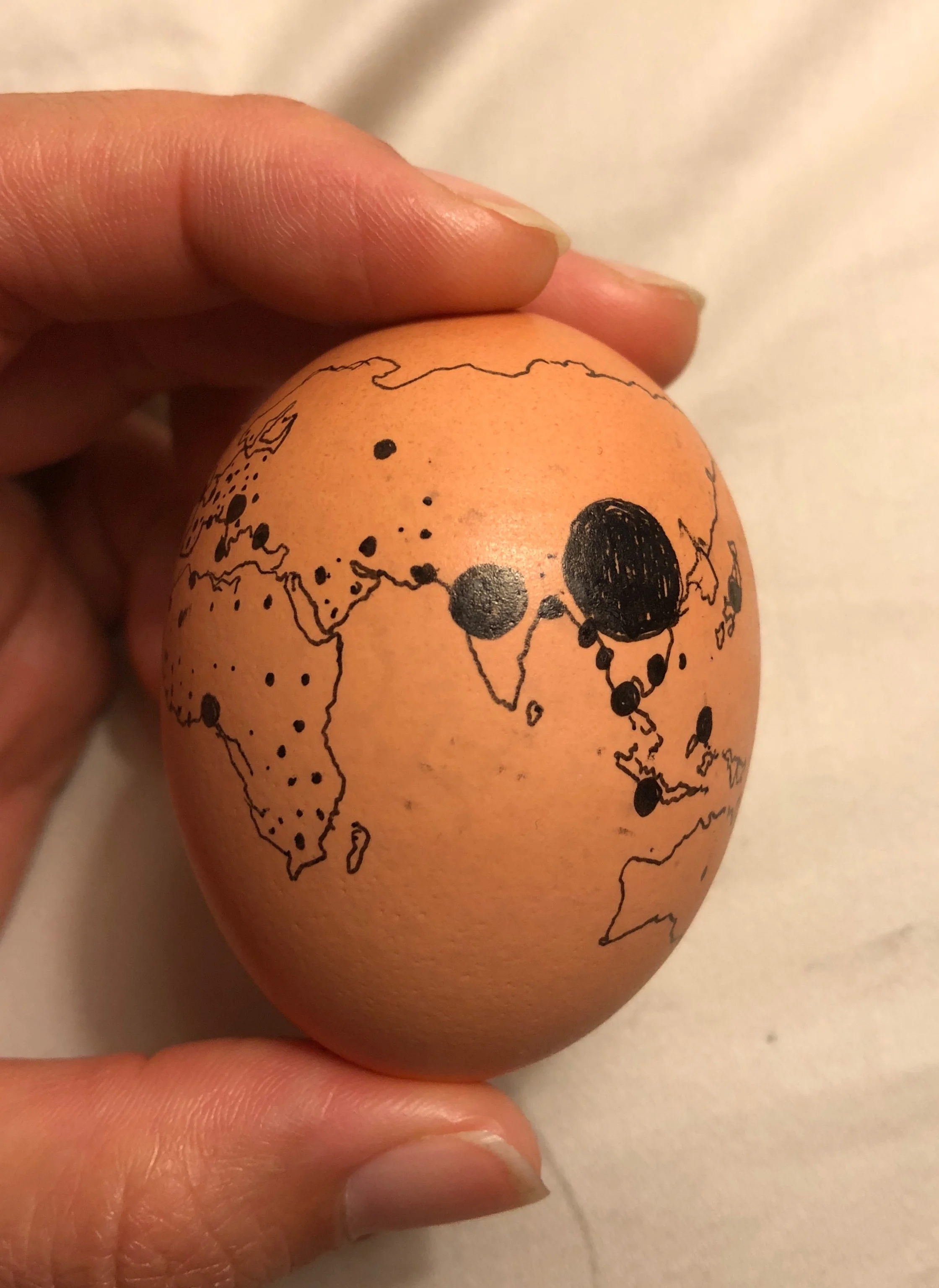 Chicken. Egg production on an egg. China produces A LOT of eggs! Next is India the US. Data from Windhorst 2016.