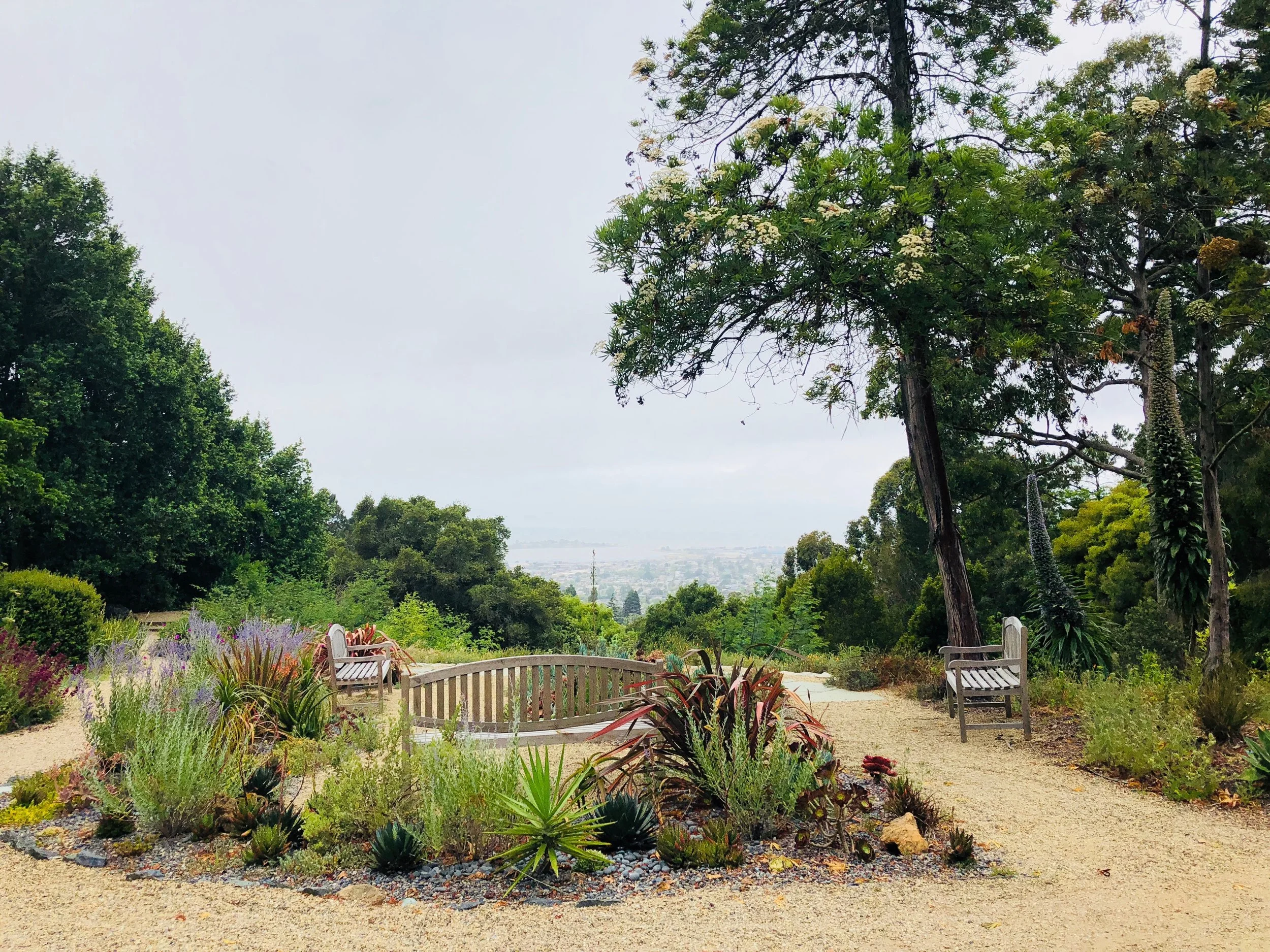 Blake Garden overlook in Fall 2018. Photo by Sahoko Yui.