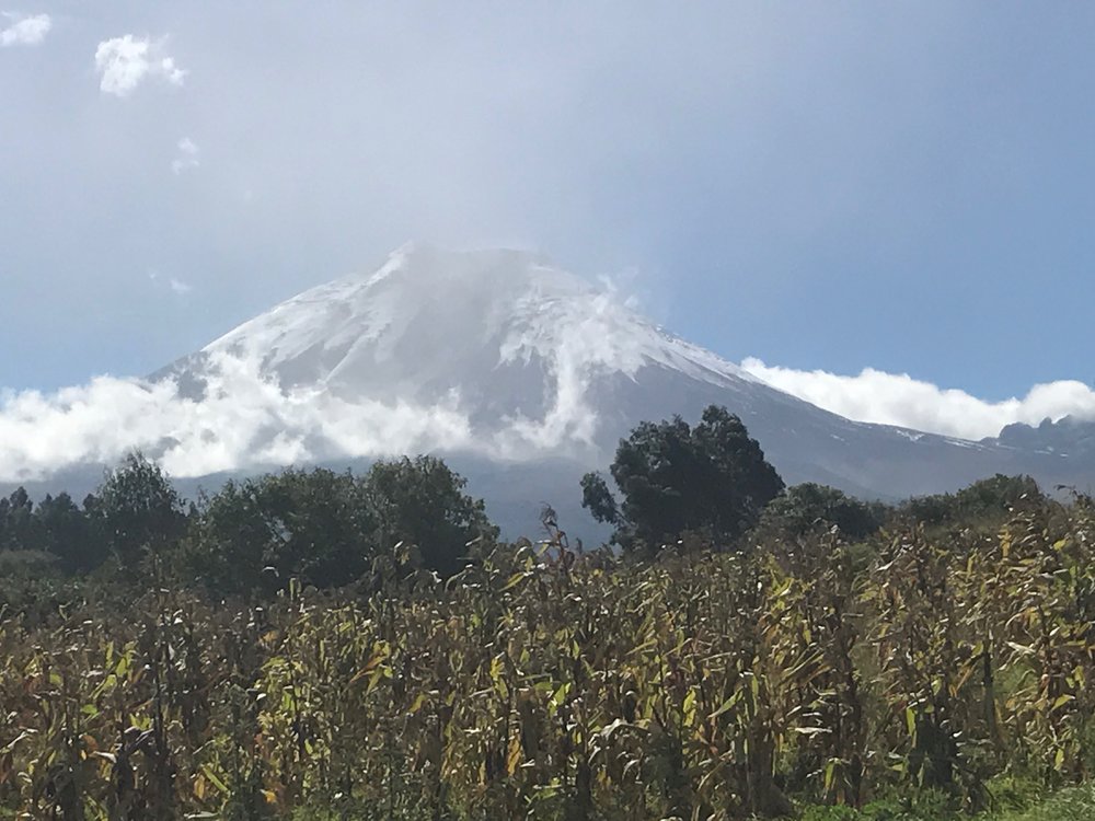 Cotapaxi: usually shrouded in clouds