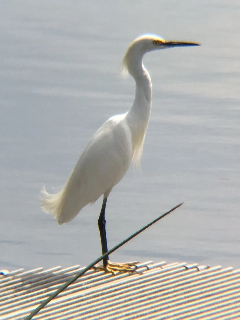 A Trip Into The Past