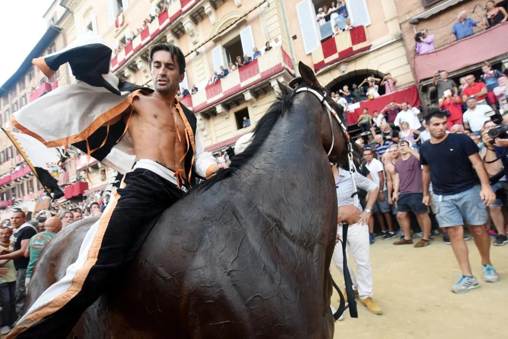 Jonatan Bartoletti, riding"Preziosa Penelope" to victory in July and August of 2016 for the Lupa (she-wolf) Contrade , The Lupa drew the same horse for both the July and August races and obviously had the same jockey. The last time a Cntrade won both races in the same year was 1933. The picture was taken from The Guardian, https://www.theguardian.com/artanddesign/ng-interactive/2016/aug/18/palio-di-siena-horse-race-way-of-life-italy-photo-essay