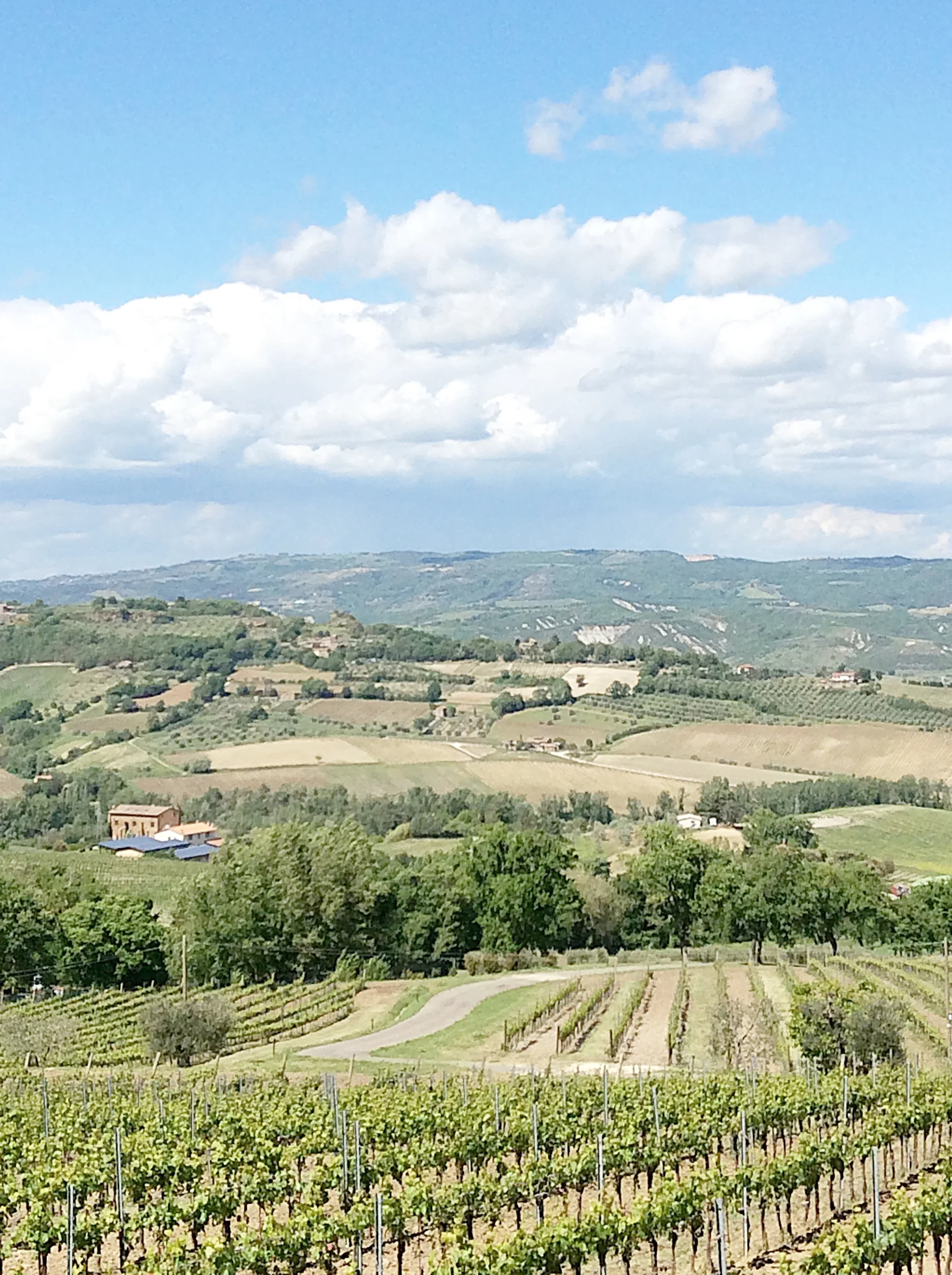 We Have To Step Out Of The Boat