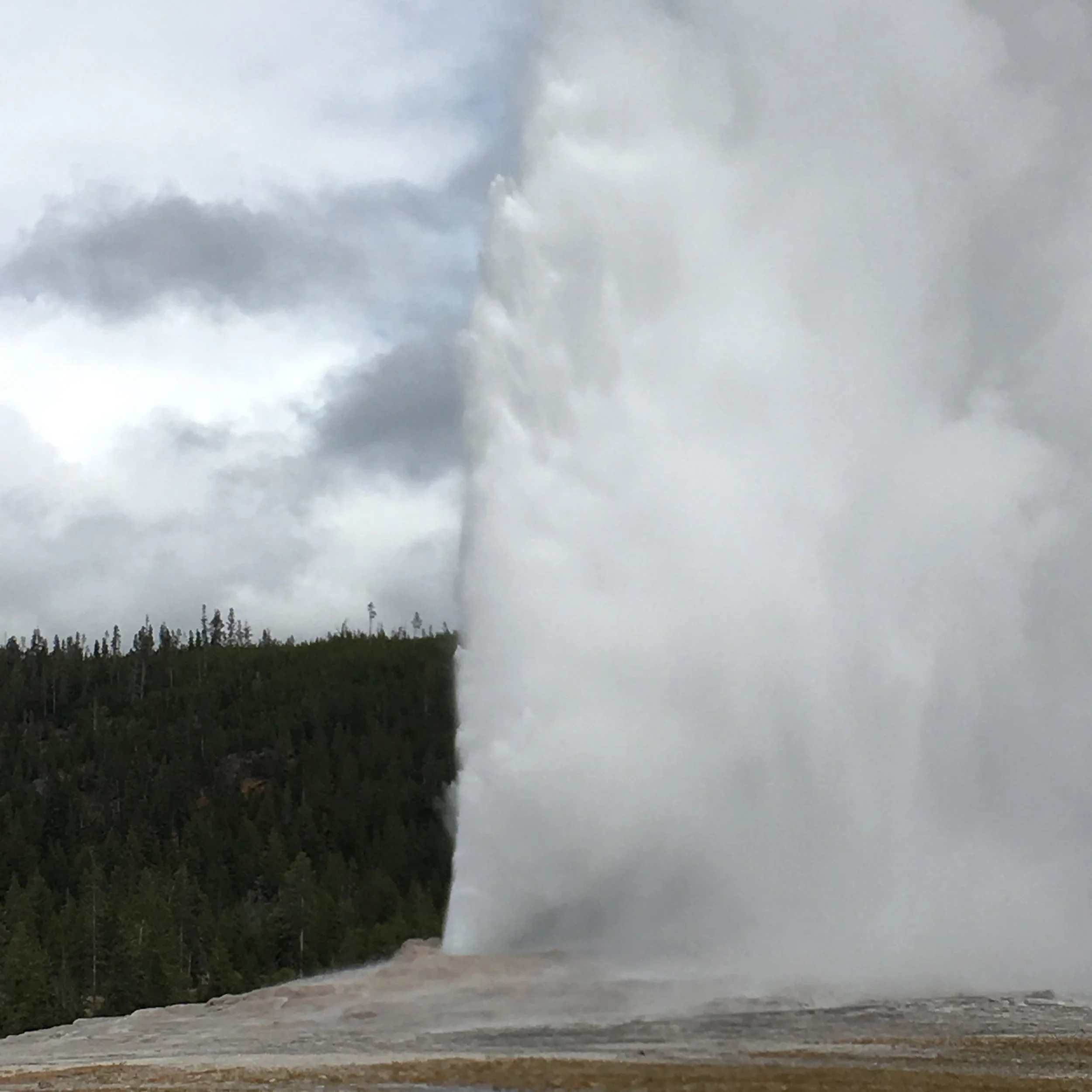 Yellowstone
