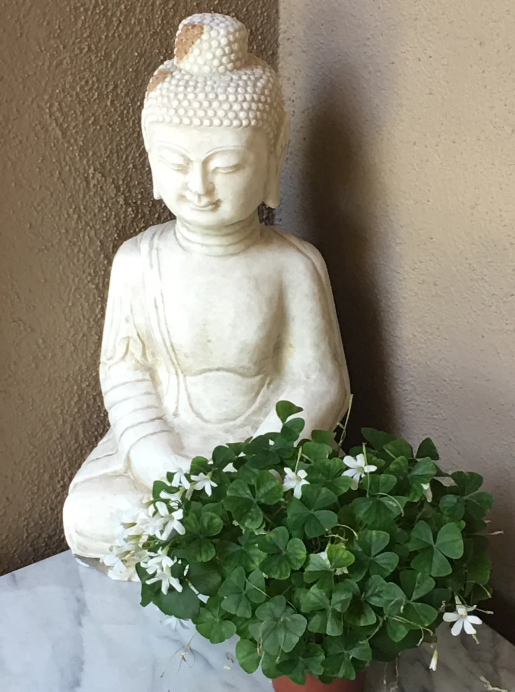 Celebrating Visakha Puja and The Life of The Buddha