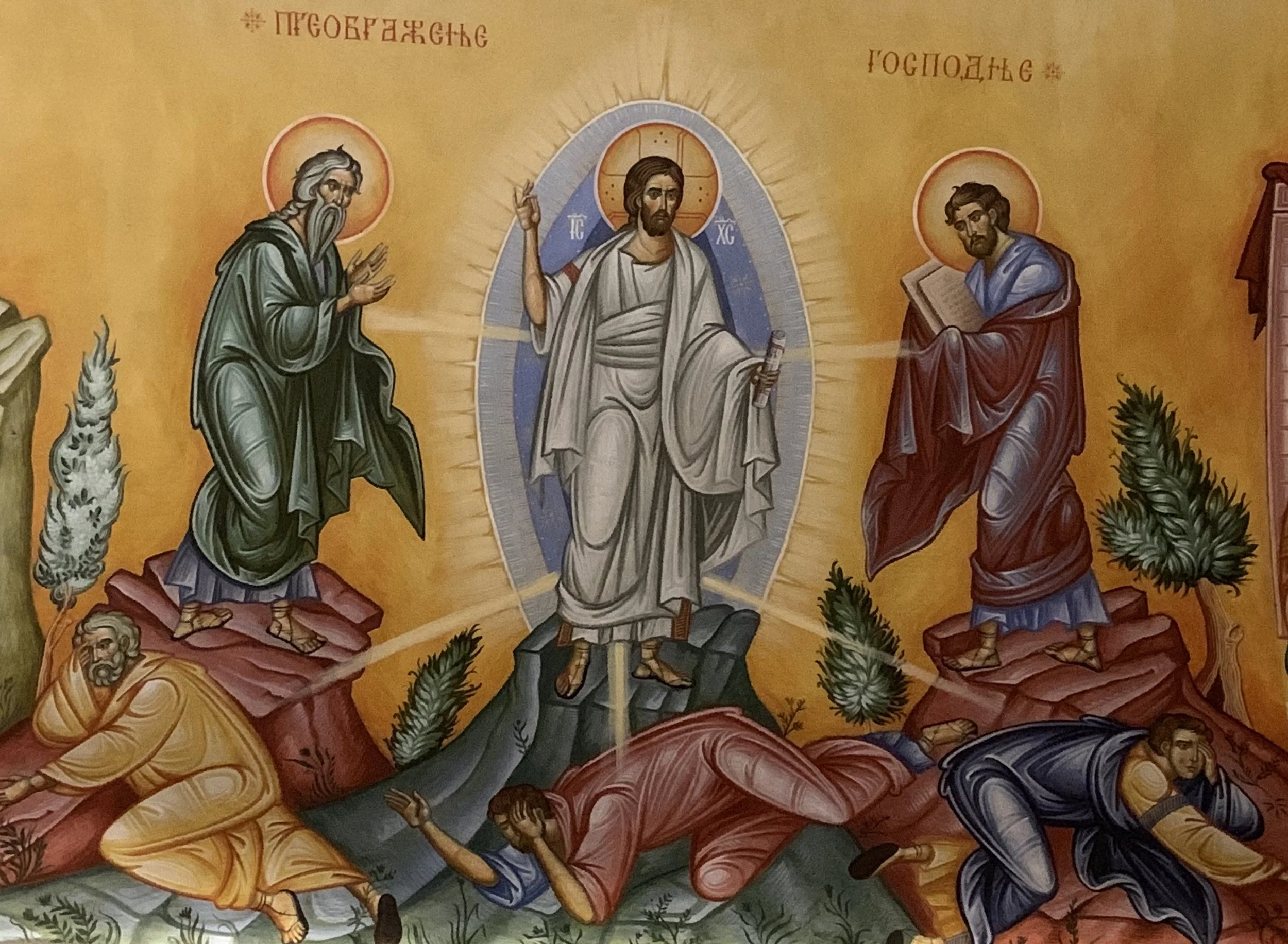 The Transfiguration