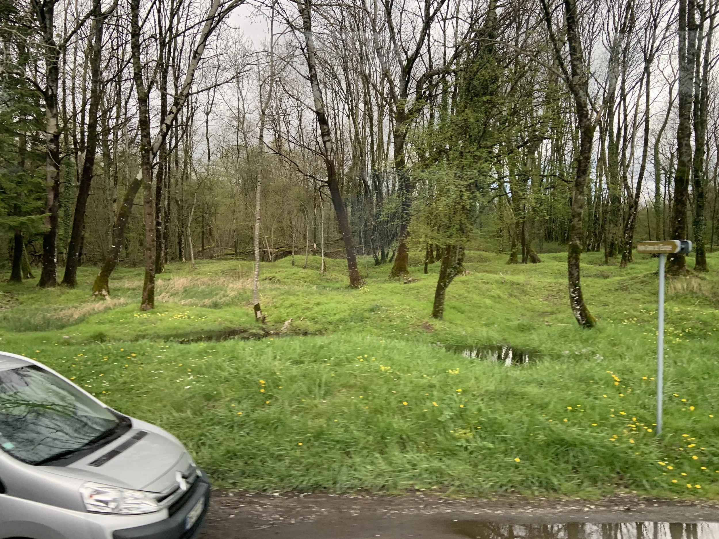 Verdun Battlefield World War I