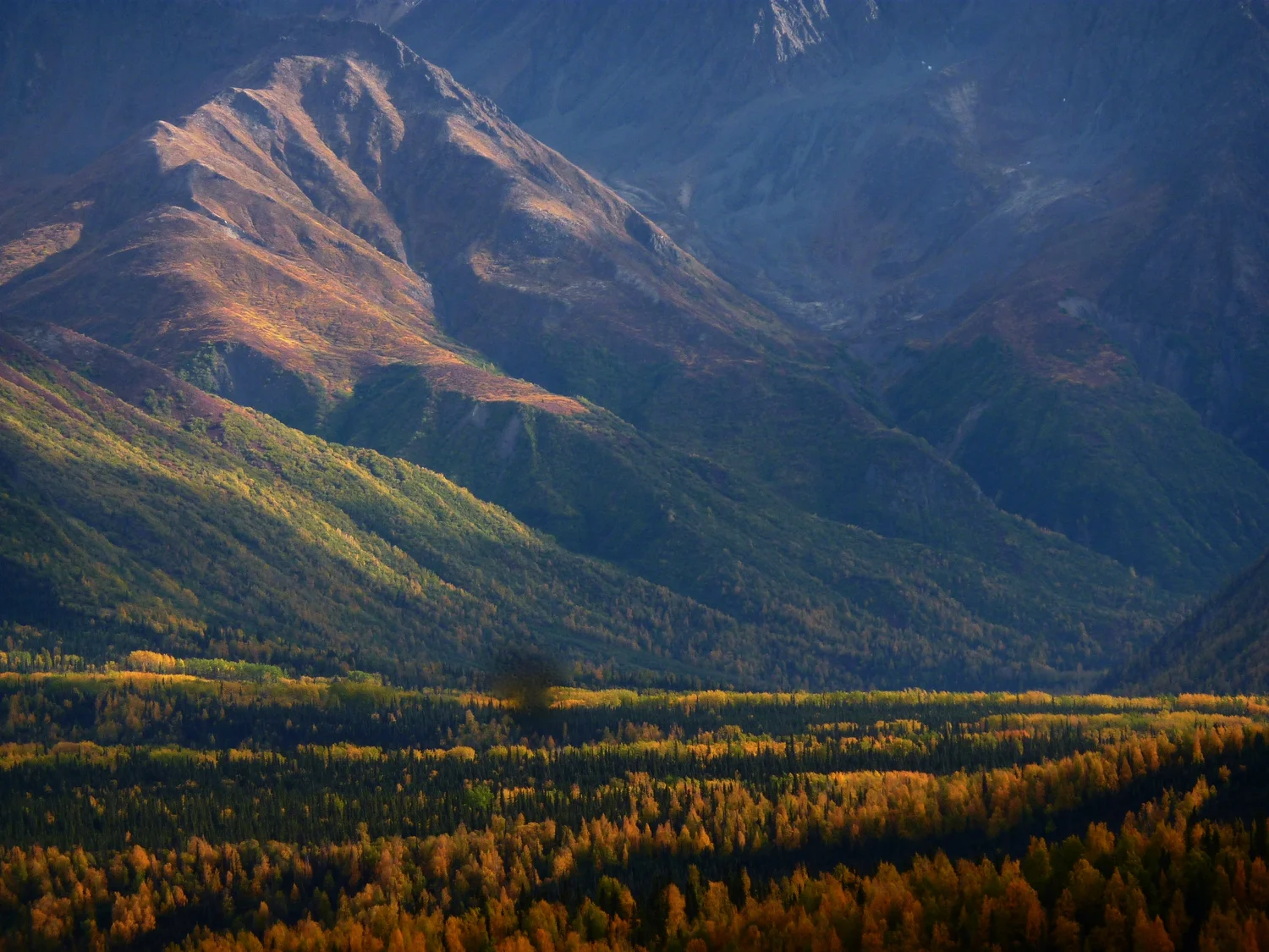 Stake Alaska : Land for Bitcoin or Ethereum