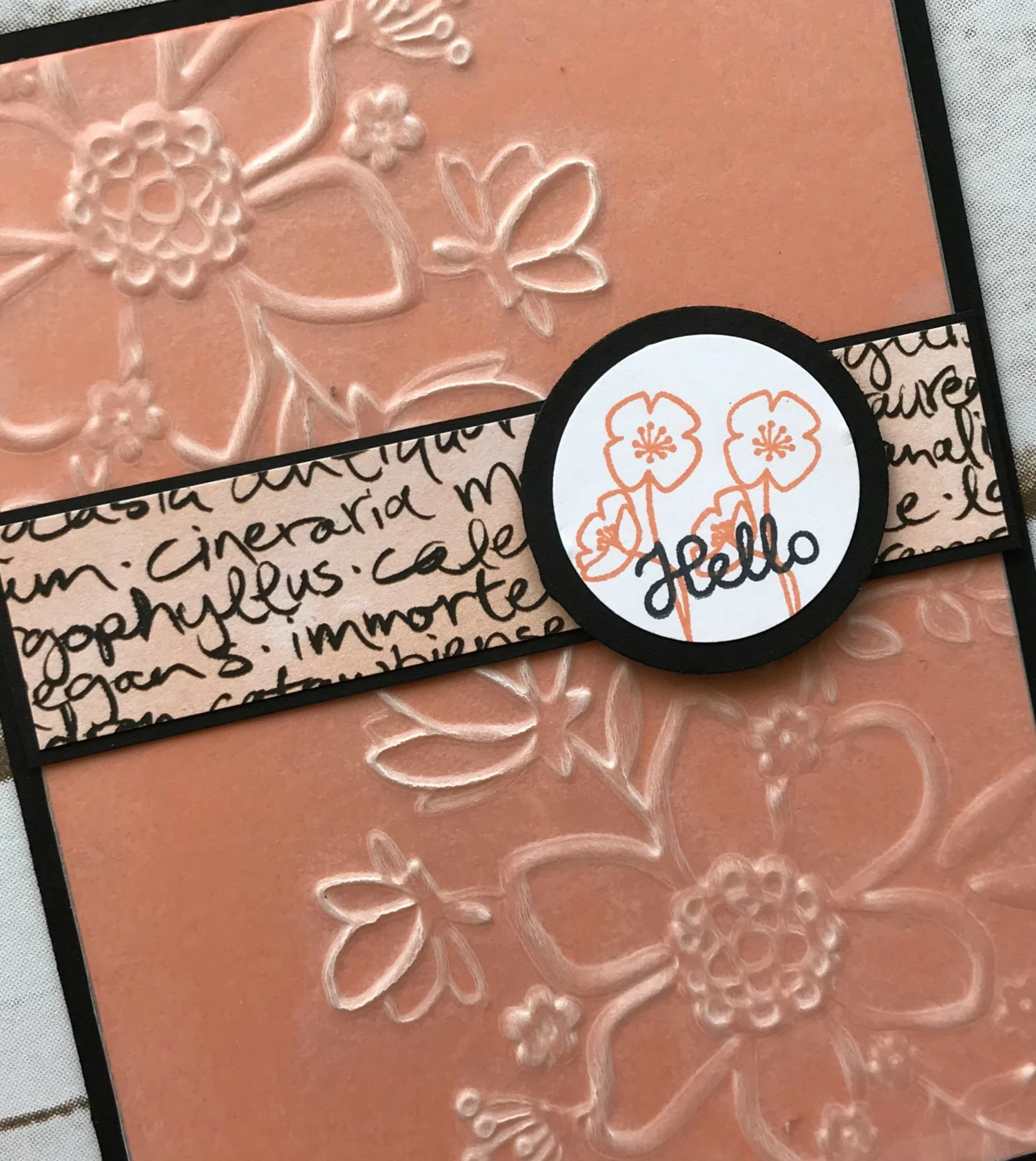 Lovely Embossed Vellum Hello Card