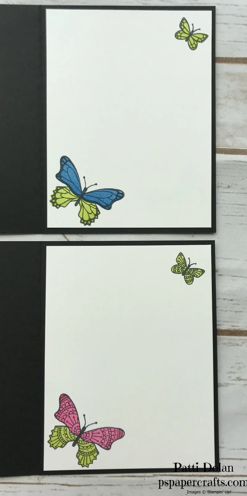 butterfly gala inside.jpg