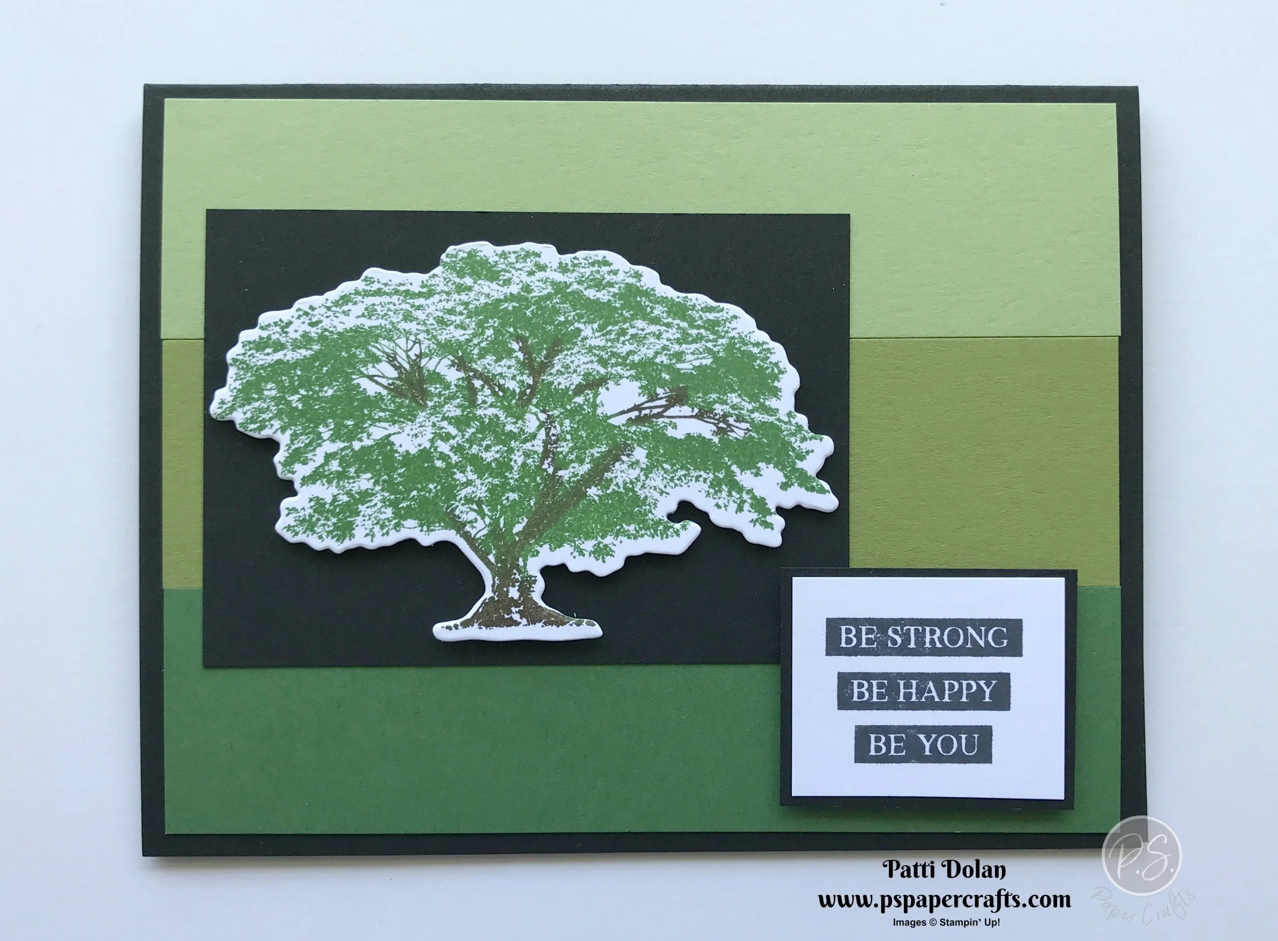 Rooted In Nature Cards.jpg