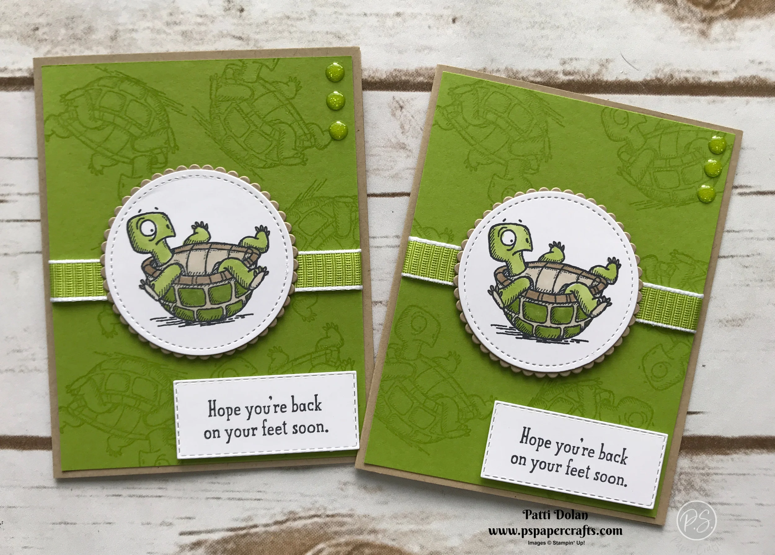 Back On Your Feet Turtle Both.jpg