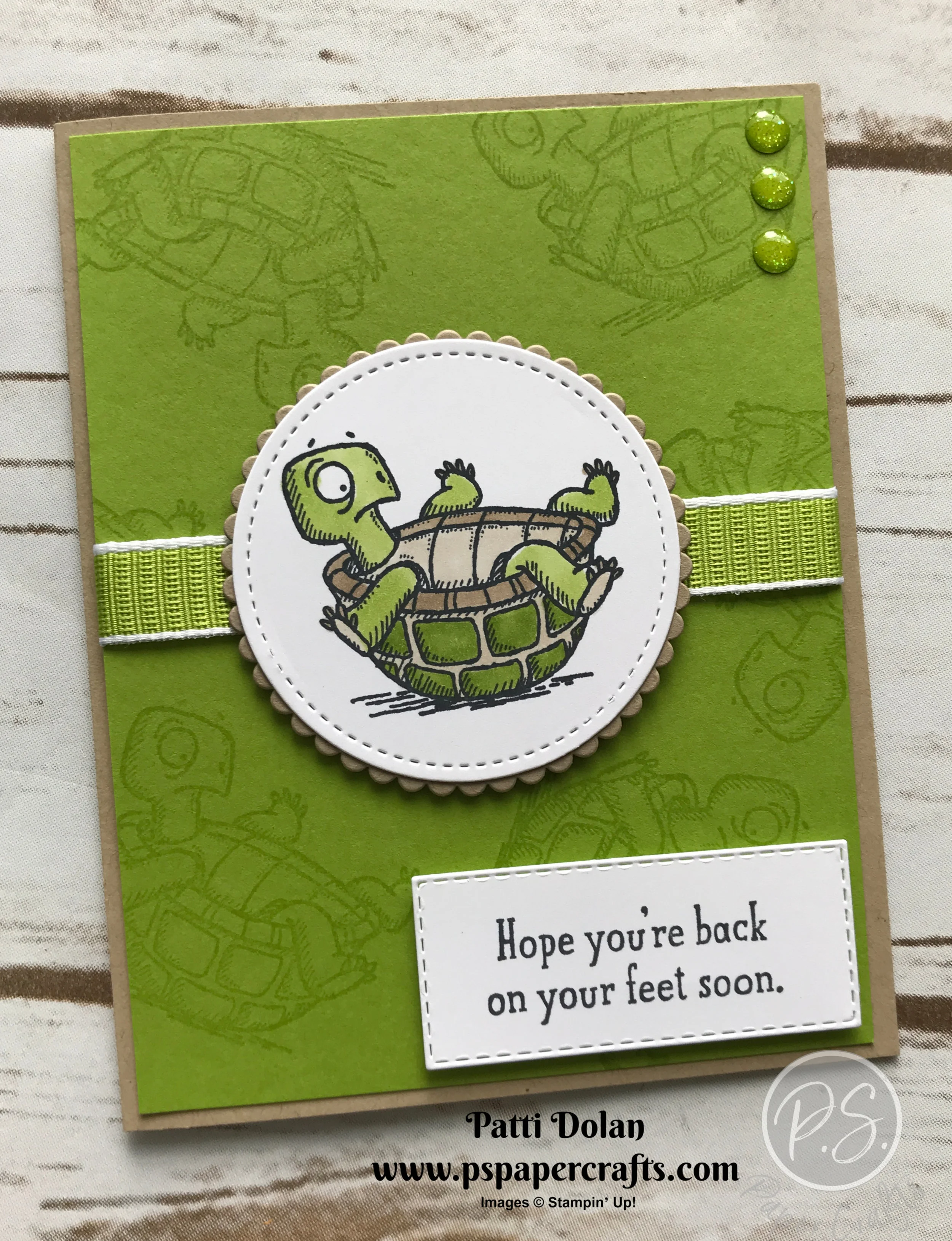 Back On Your Feet Turtle3.jpg