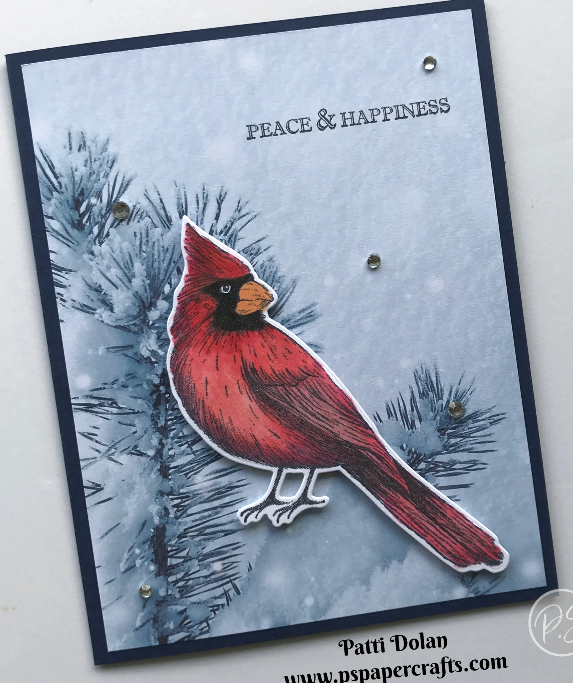 Beautiful Cardinal Card