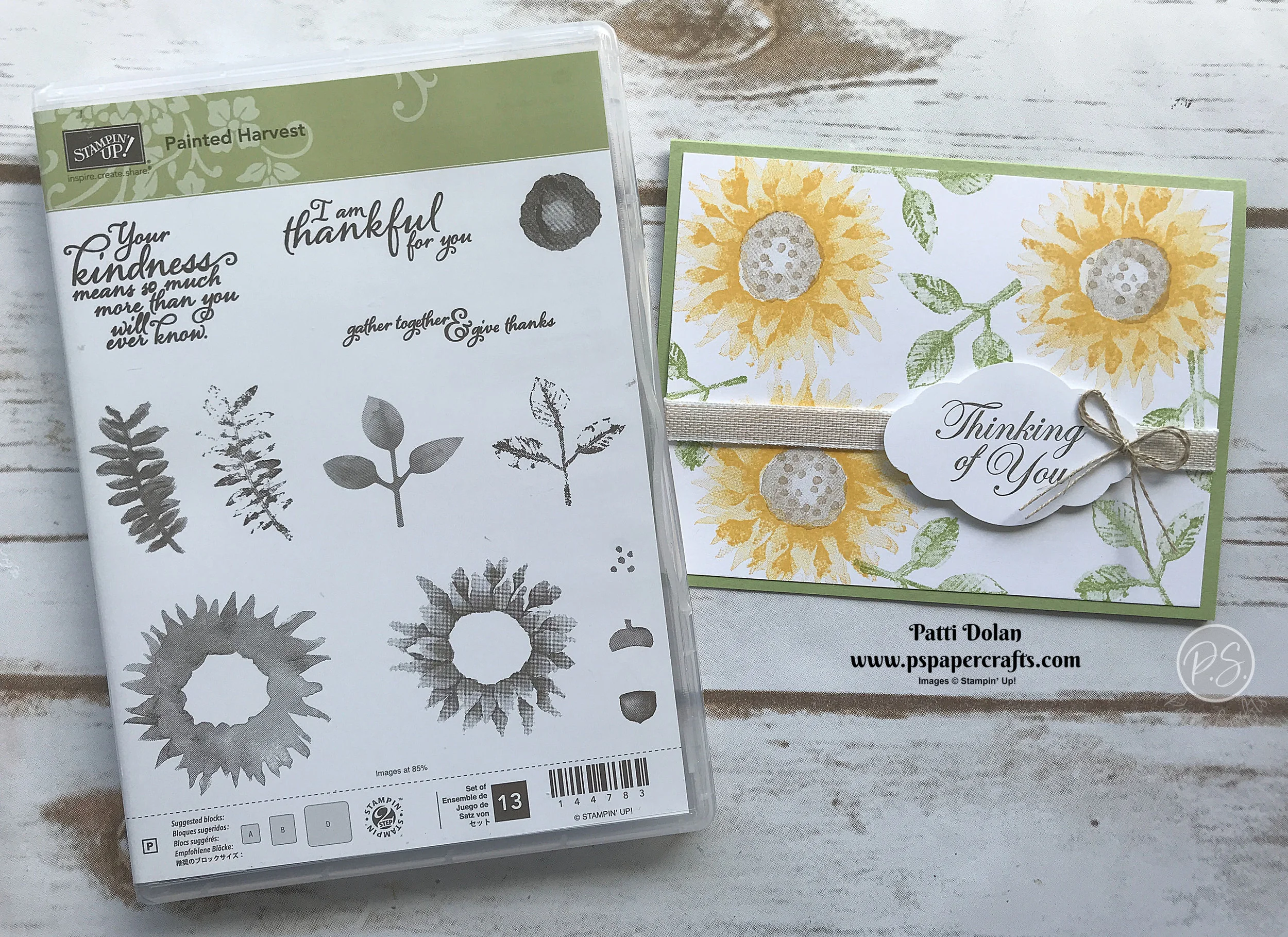 Painted Harvest Sunflower Card.jpg