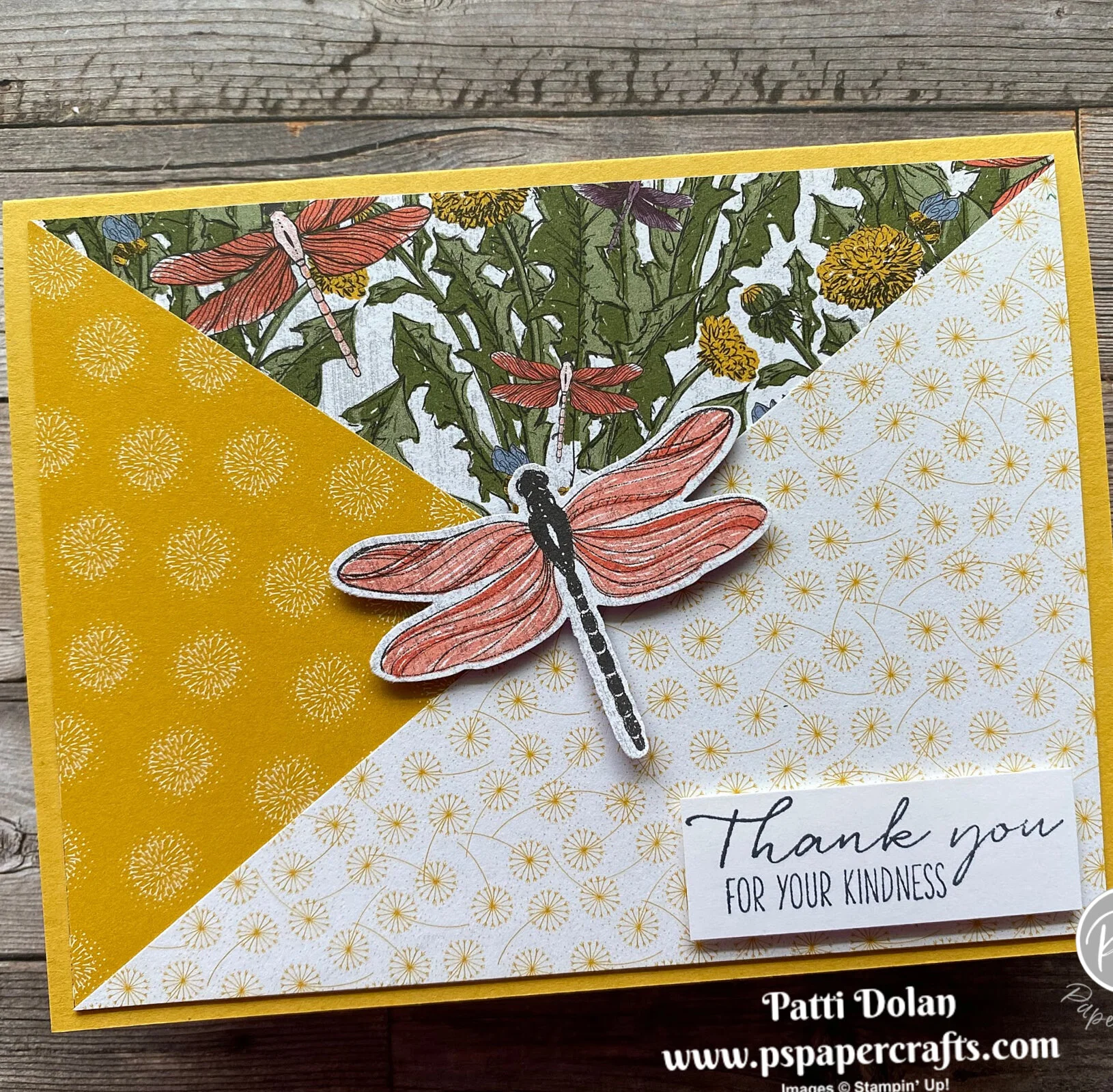 Sketch Saturday - Dragonfly Garden