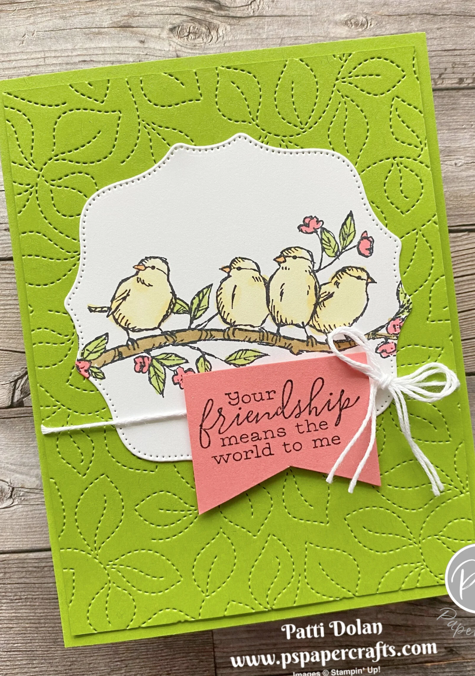 Catalog Case - Free As A Bird