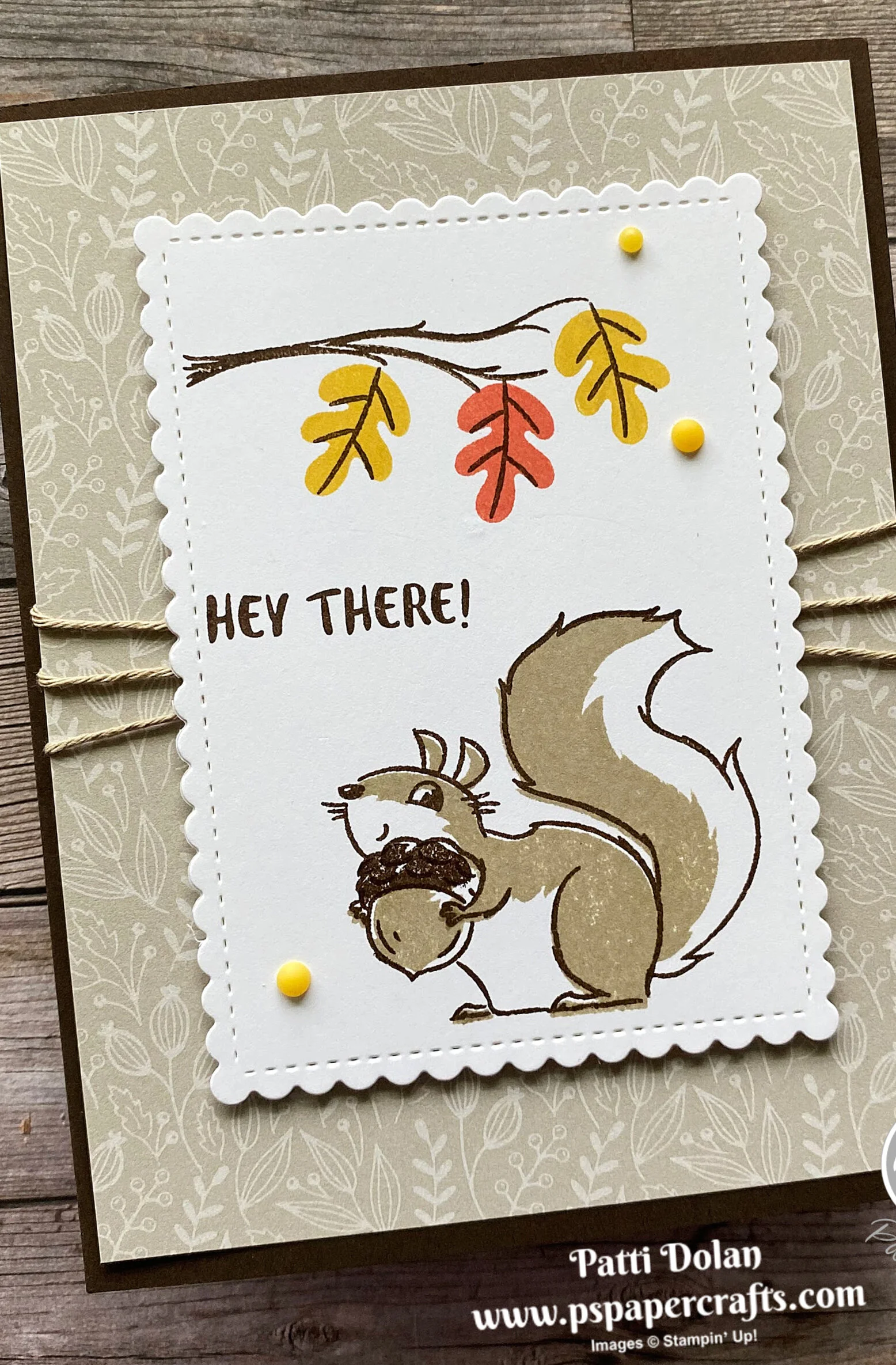 Nuts About Squirrels Card