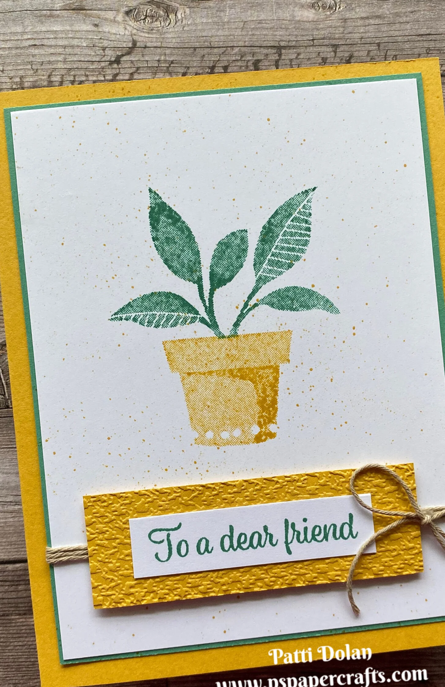 Sketch Saturday - Plentiful Plants