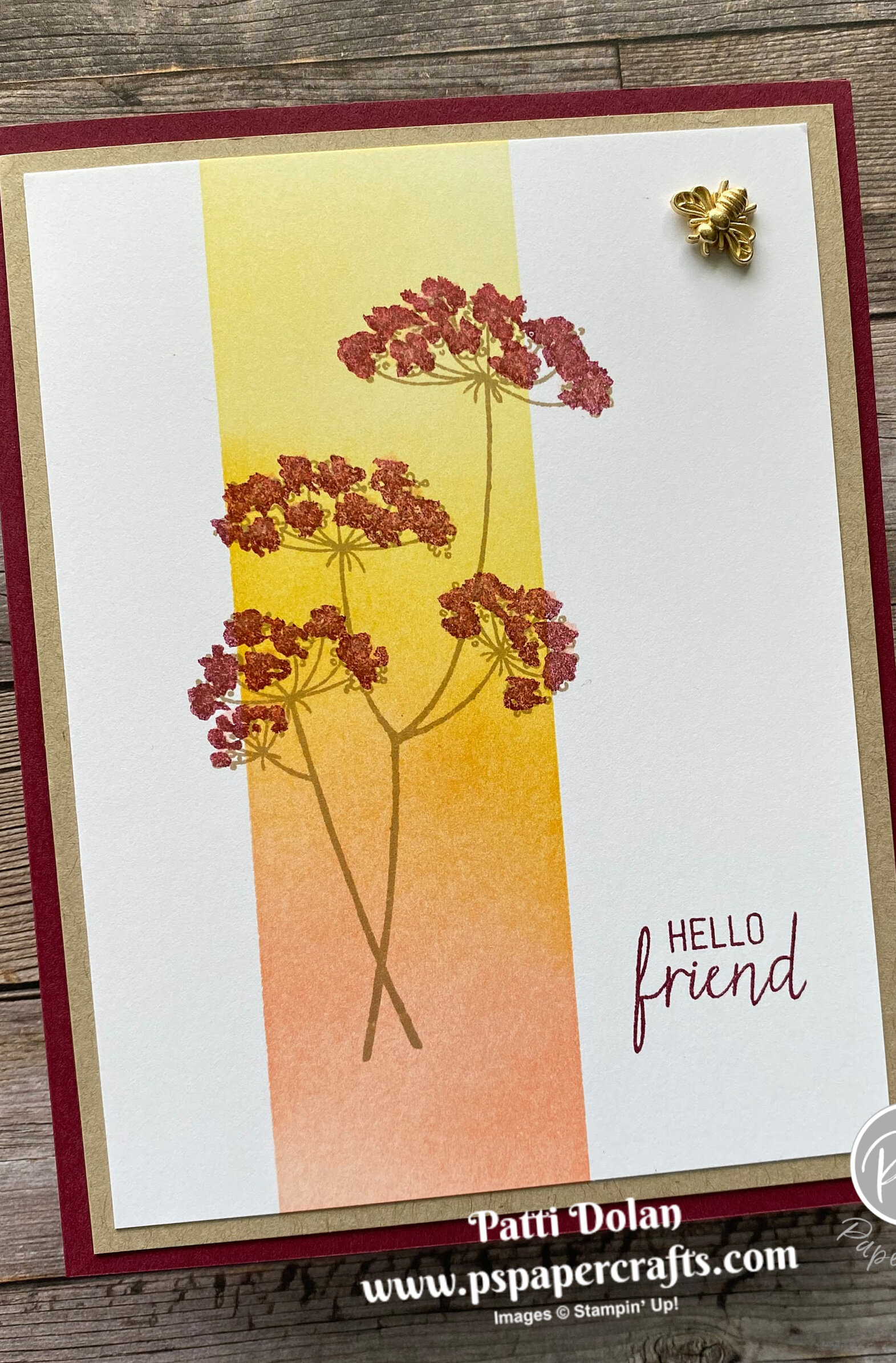 Friendship Card using Queen Anne's Lace
