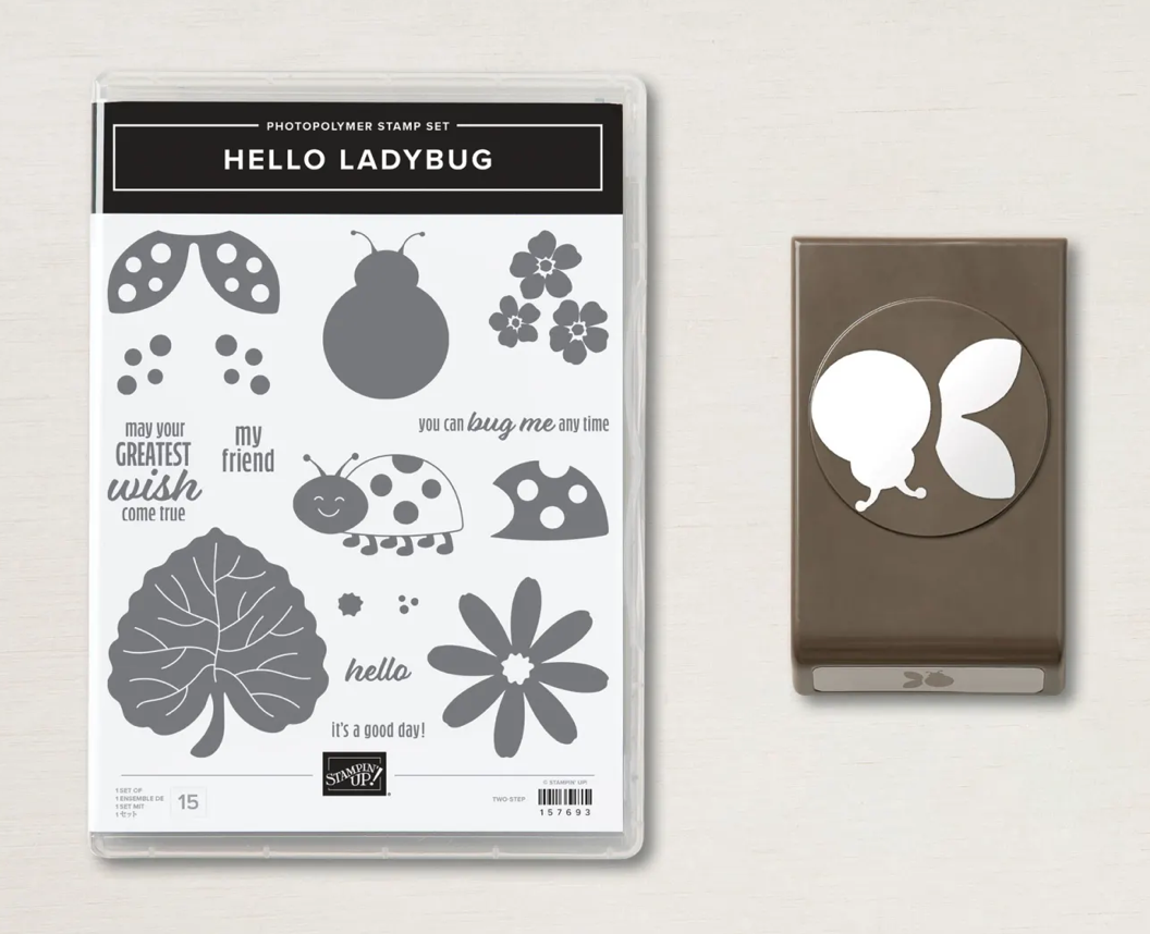 Cute Hello Ladybug Card — P.S. Paper Crafts