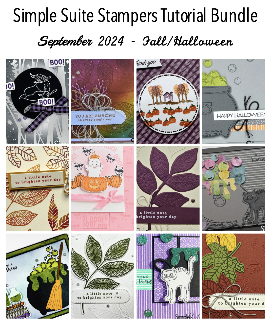 Screenshot 2024-10-10 at 11.36.36 AM.png