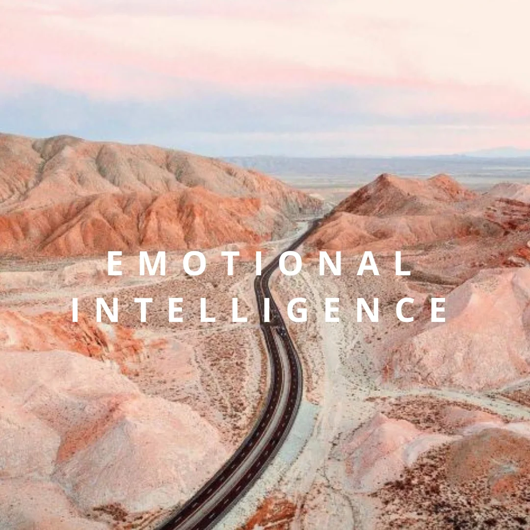  Emotional Intelligence in Project Managers
