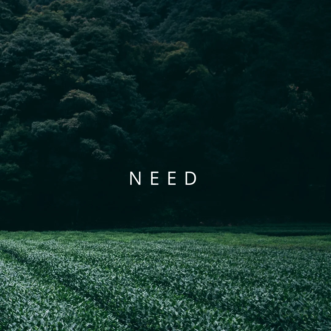 Project Managers or Producers - what does your organization need?