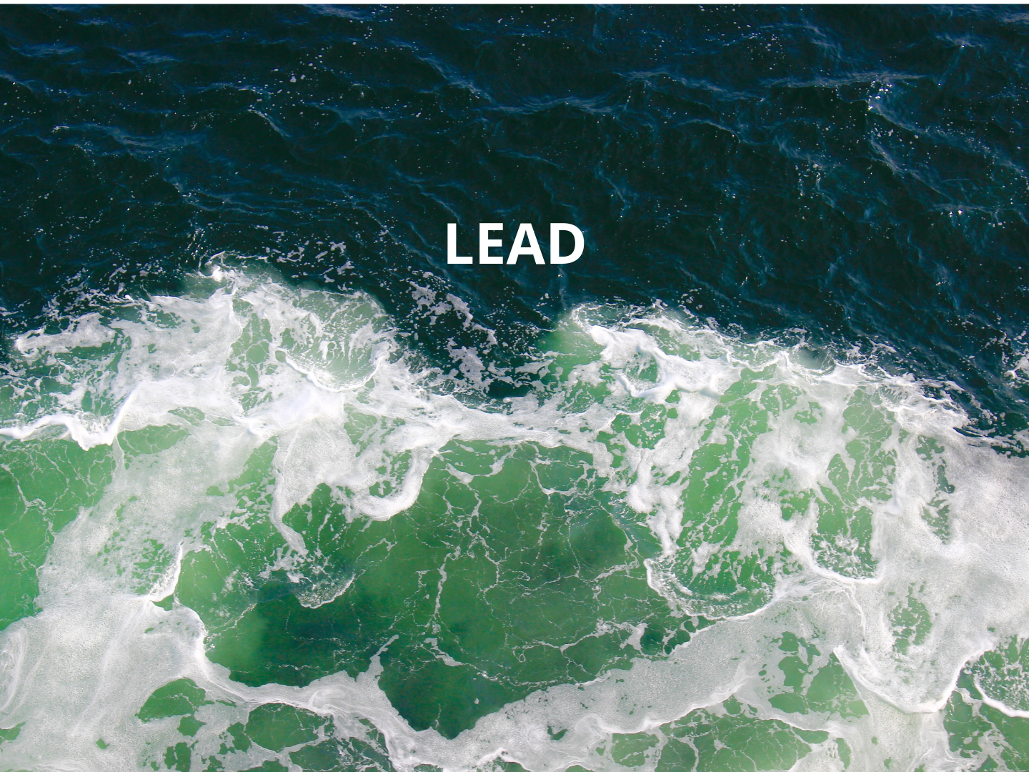 Project Leads