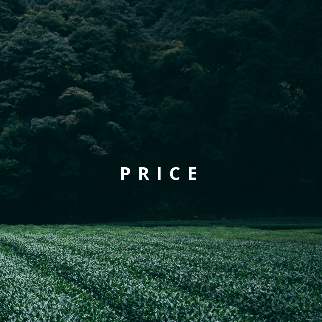 Pricing Strategy