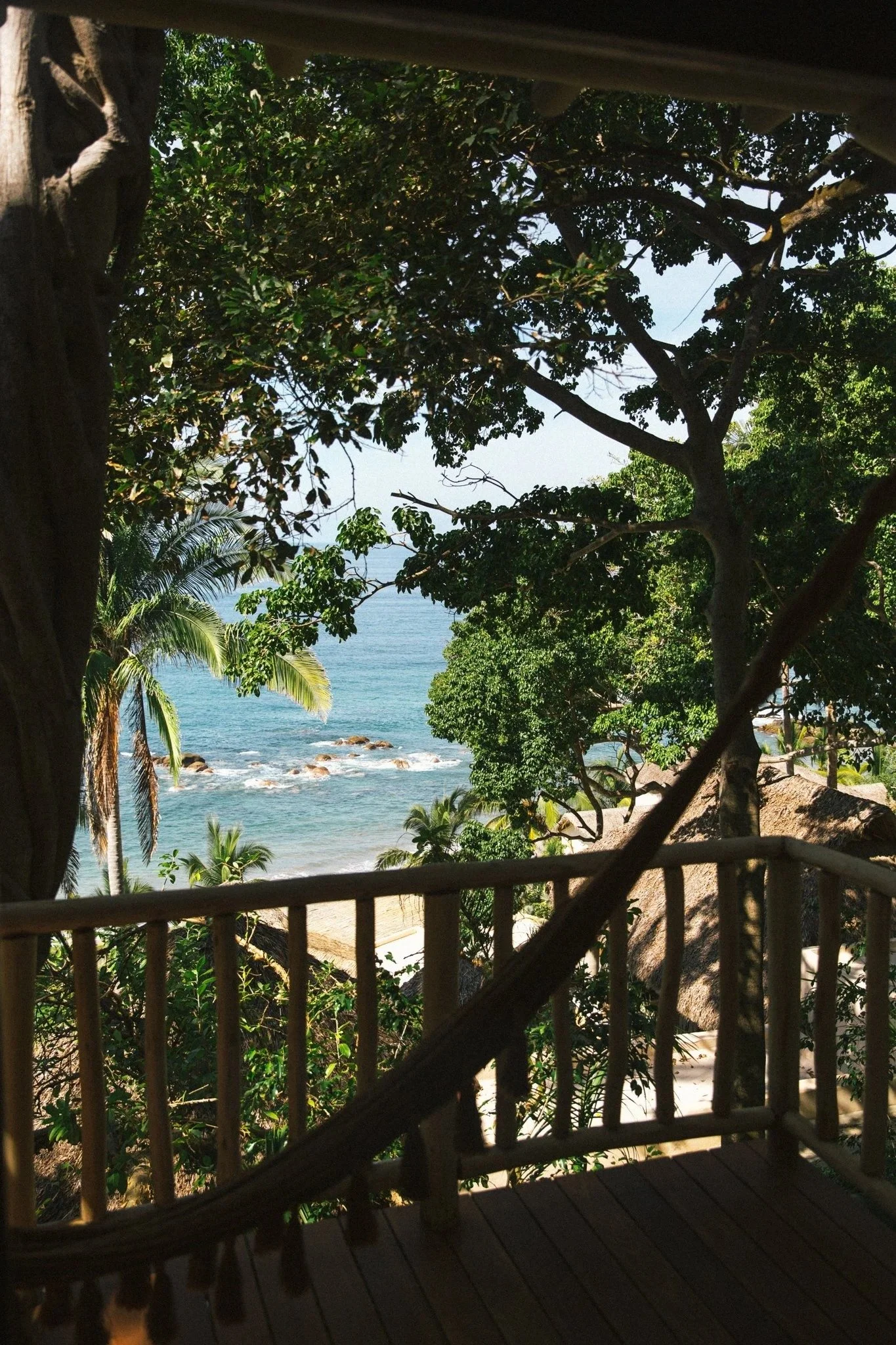 imgi_8_30-20211115-LaJoya.jpg