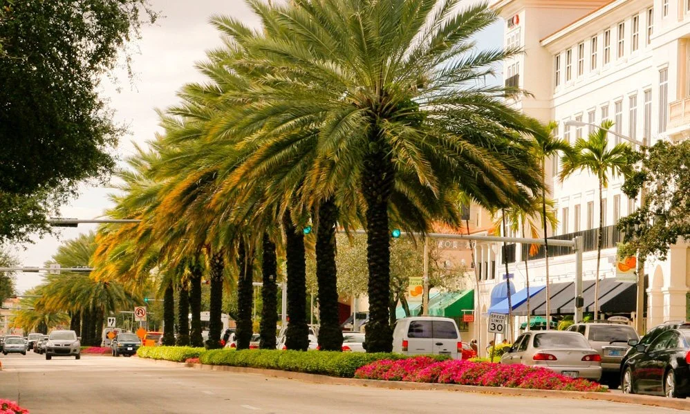 Miracle Mile, Coral Gables