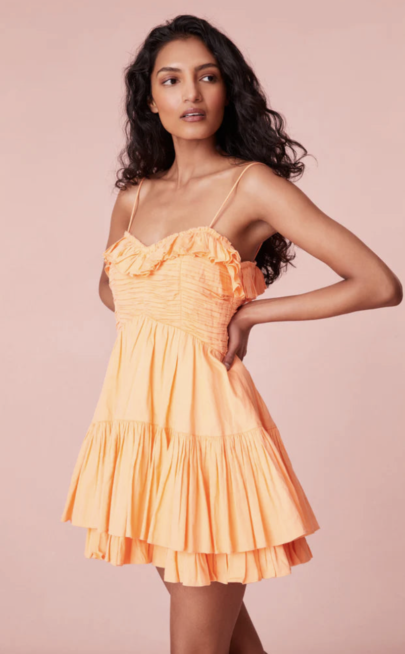 Linny Mini Dress by LoveShackFancy, $375