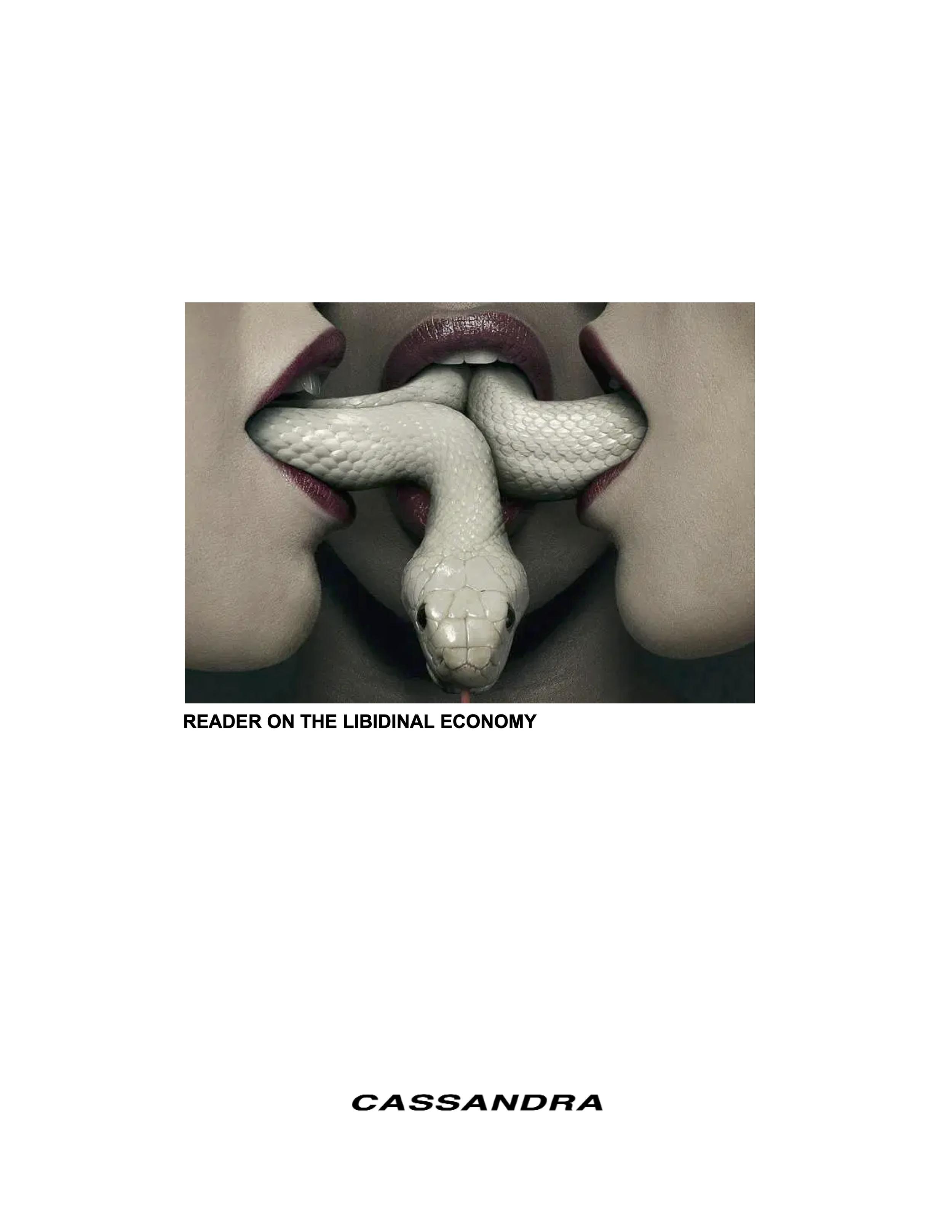 14. Reader on the Libidinal Economy (dragged).png
