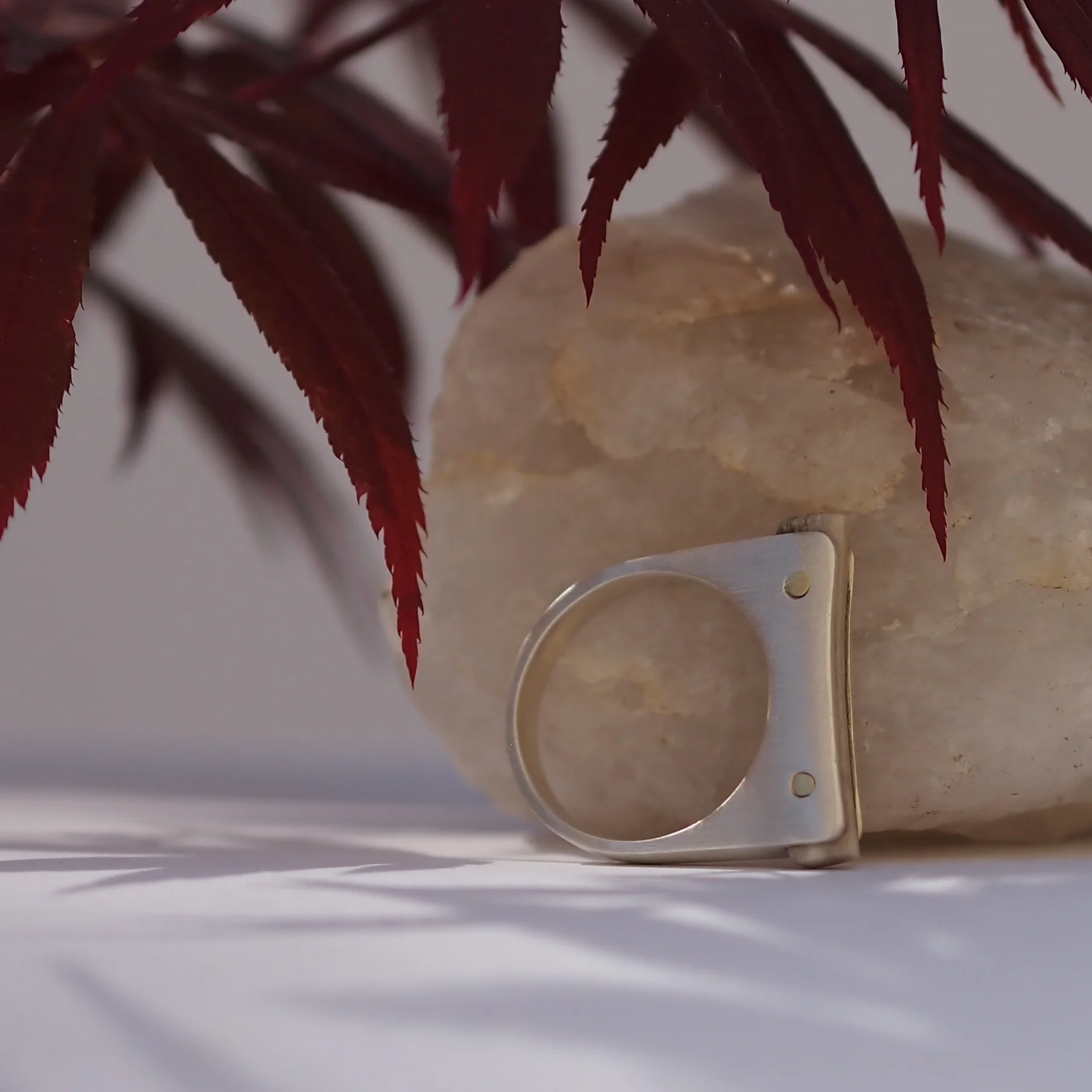 ANTLER AND SILVER RINGS, BRASS RIVETS