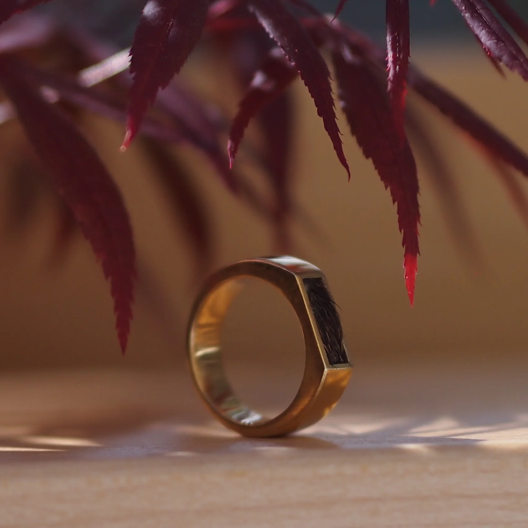 GOLD MEDAL PET RING- A SOOTHING FUR RING YOU CAN PET! GOLD PLATED BRASS