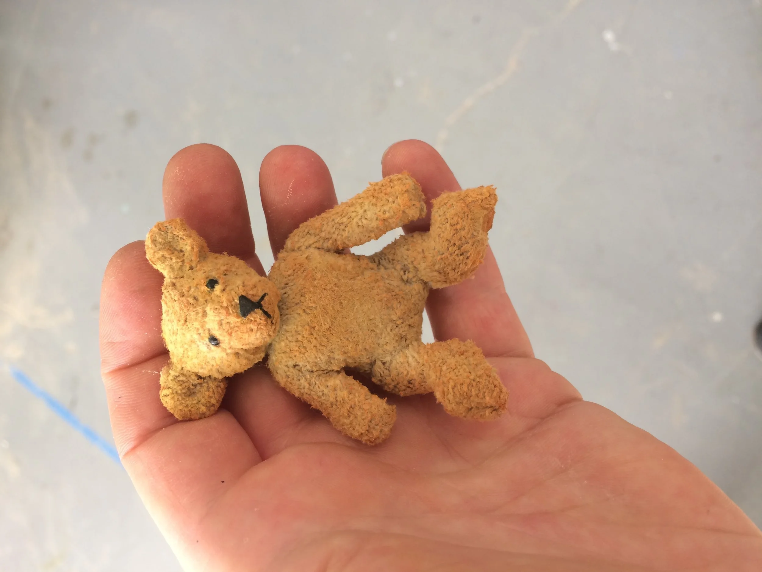possible teddy bear with removable head :(