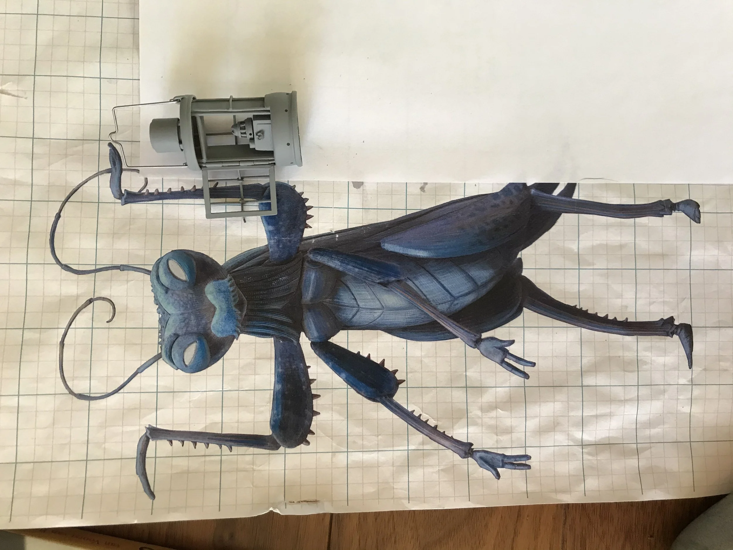 IMG_3048.jpeg