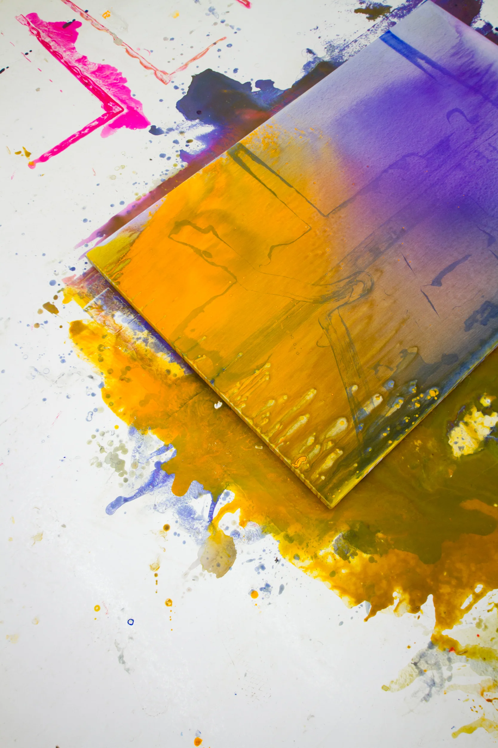 portal escalante proceso.jpg