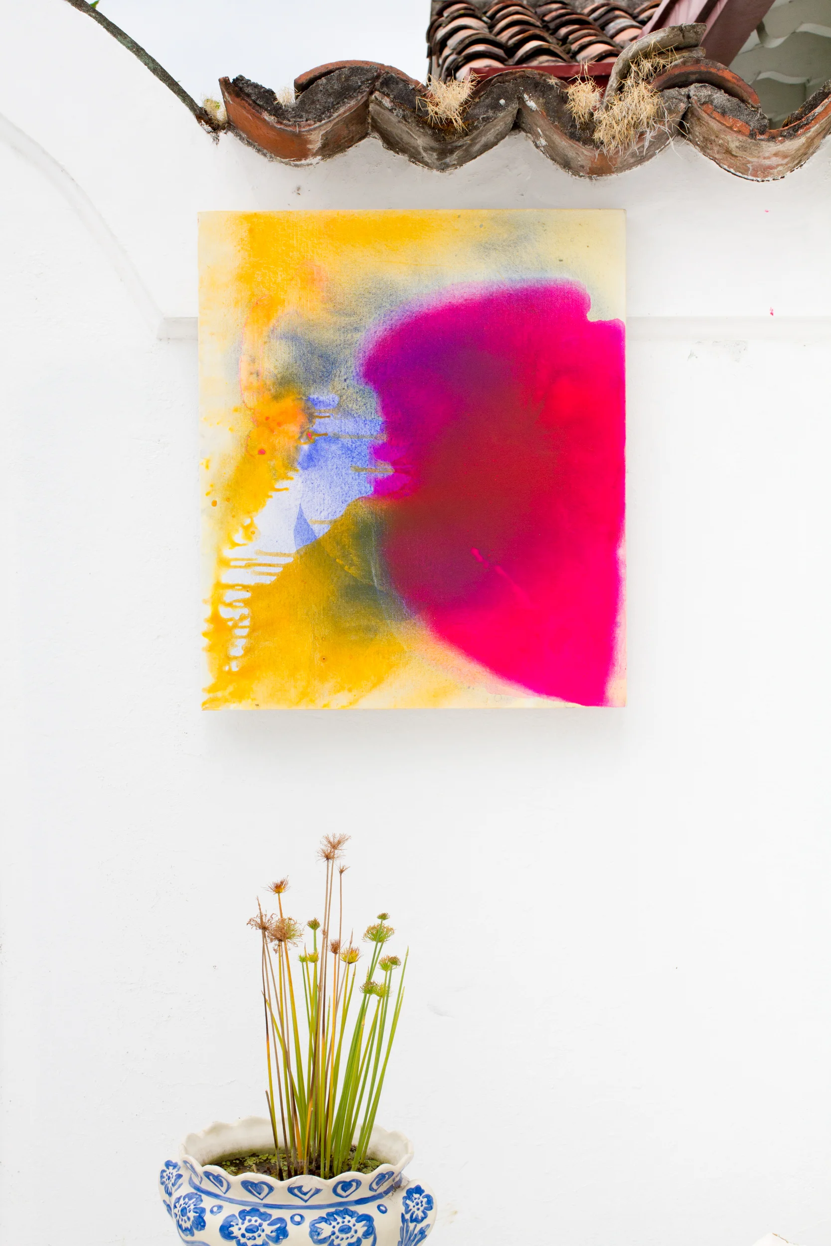 macnha roja patio.jpg