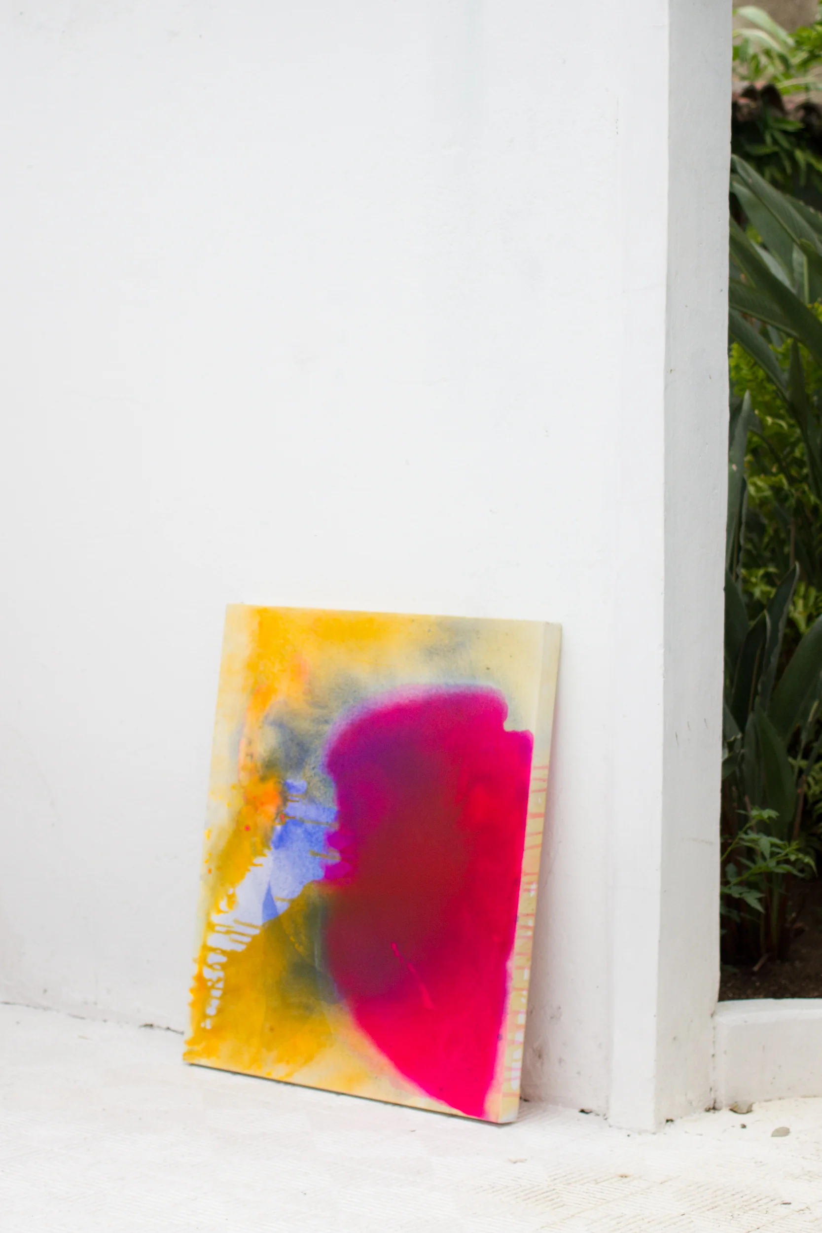 mancha roja patio.jpg