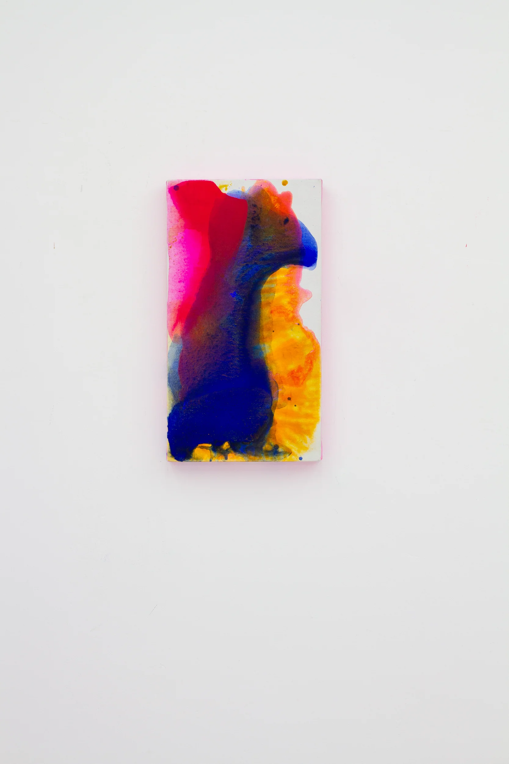 torso fondo blanco.jpg